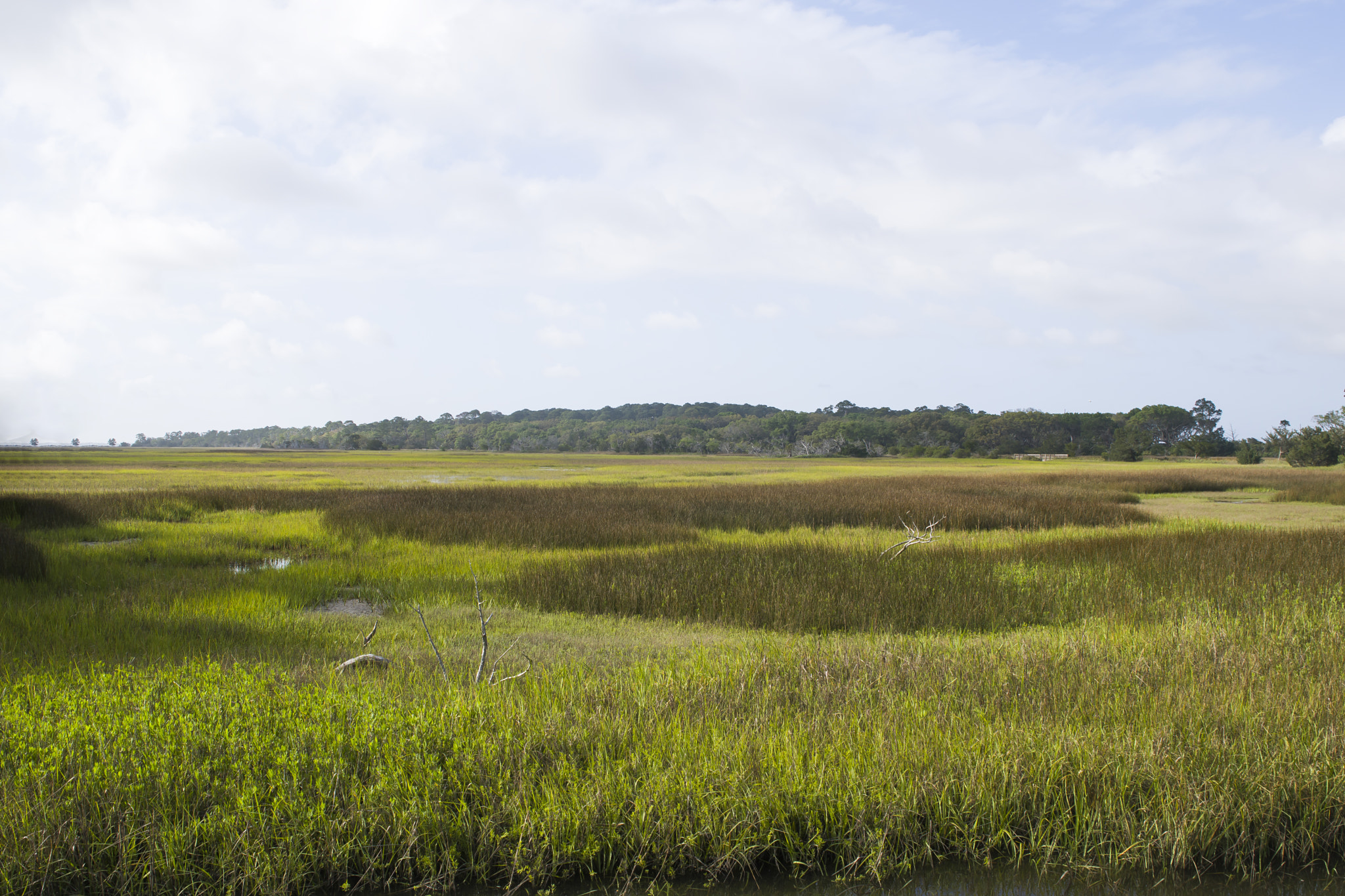 Sigma 24-70mm F2.8 EX DG HSM sample photo. Jekyll island photography