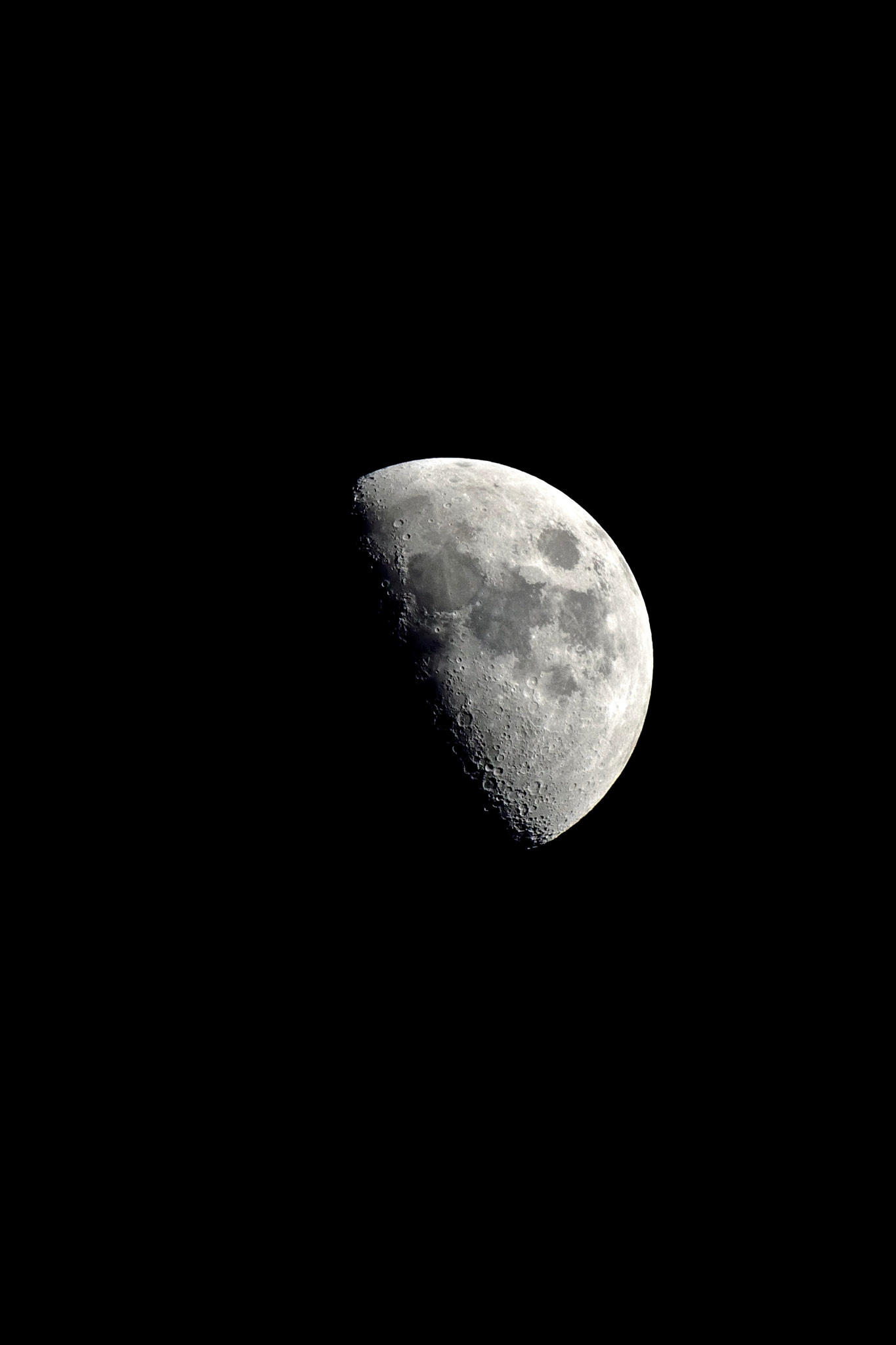 LEICA DG 100-400/F4.0-6.3 sample photo. Just received my panasonic lumix 100-400 leica dg vario-elmar. photography