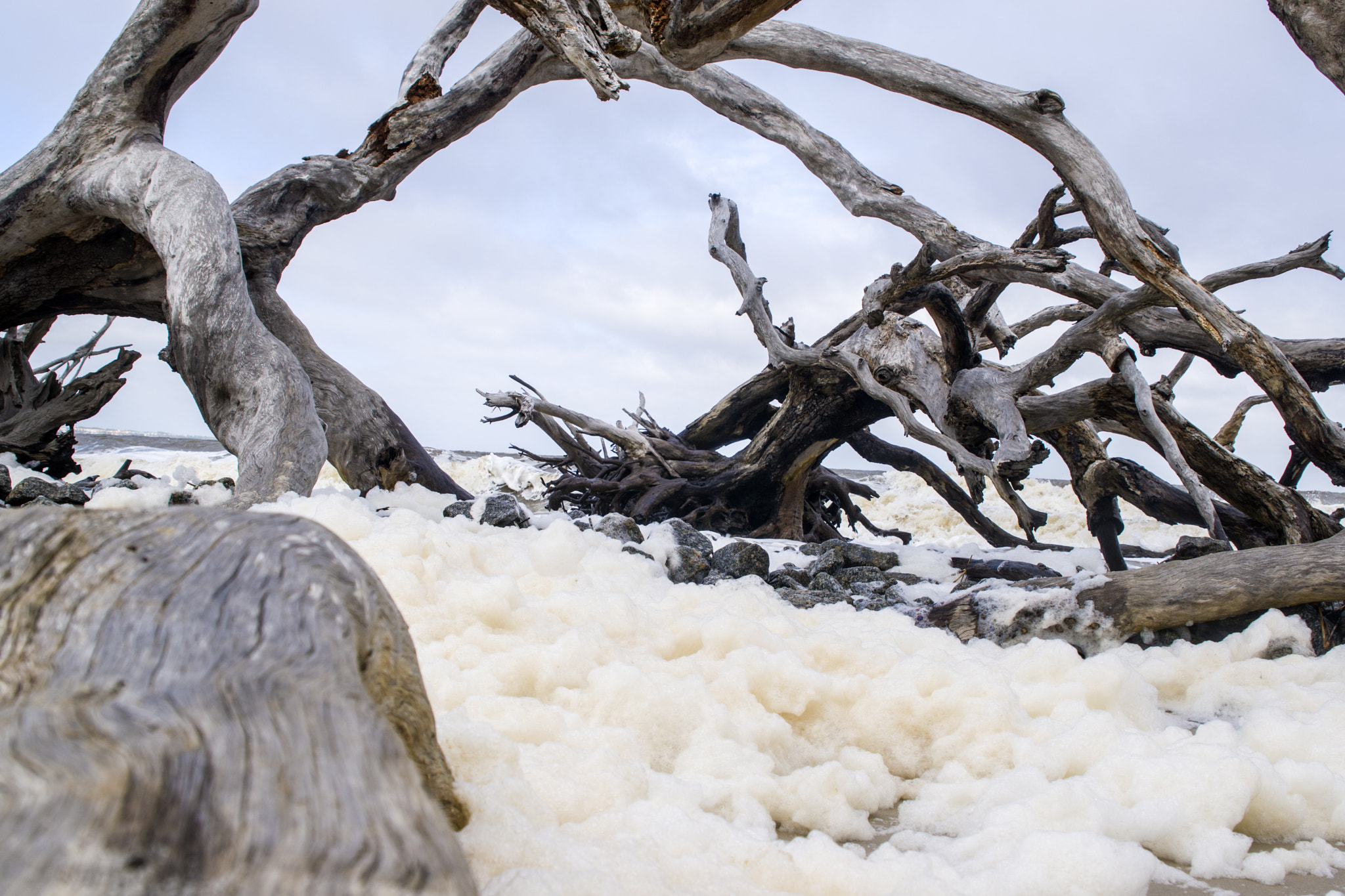 Sigma 24-70mm F2.8 EX DG HSM sample photo. Driftwood beach photography