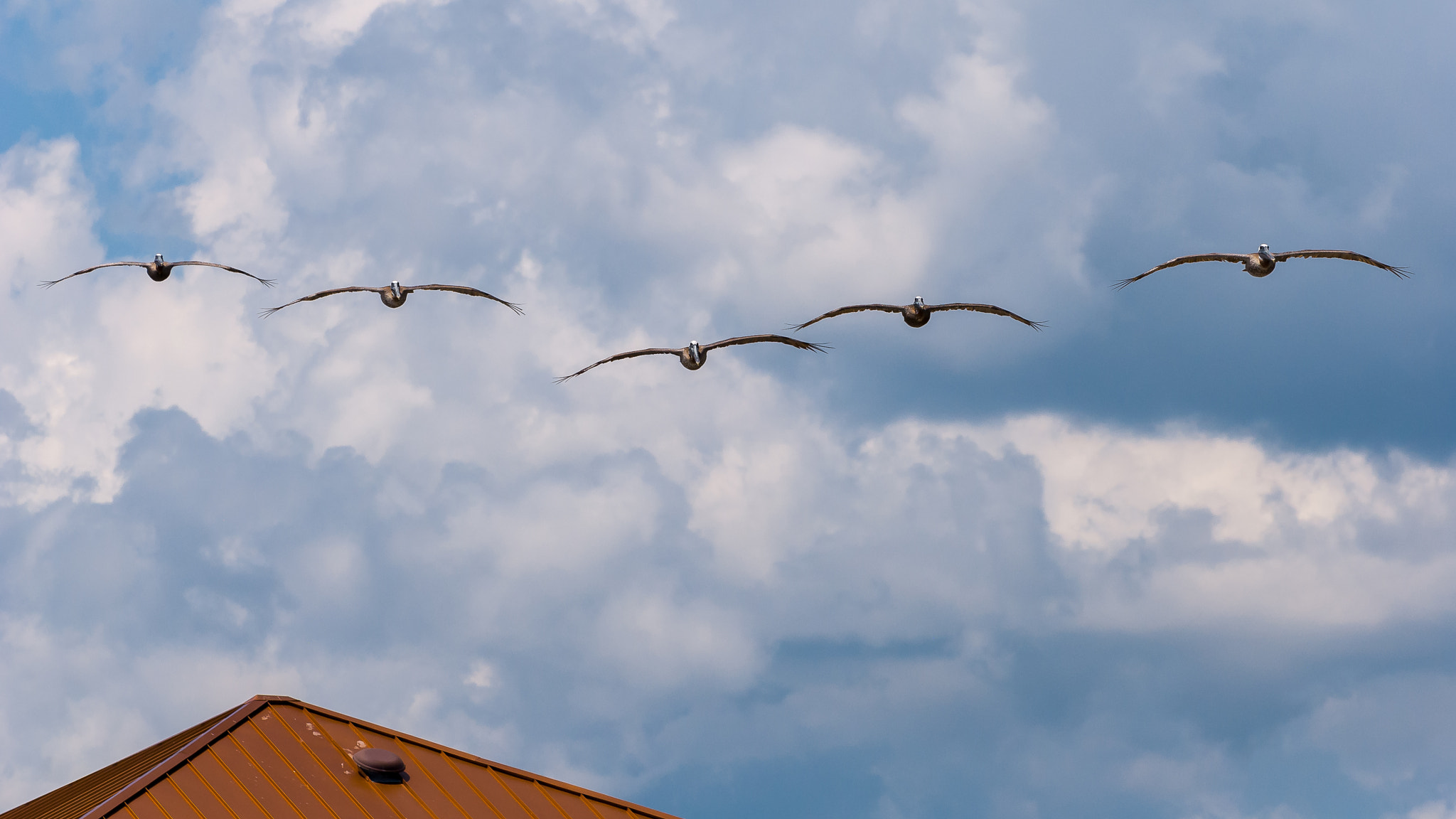 Nikon D200 sample photo. "incoming ..." photography