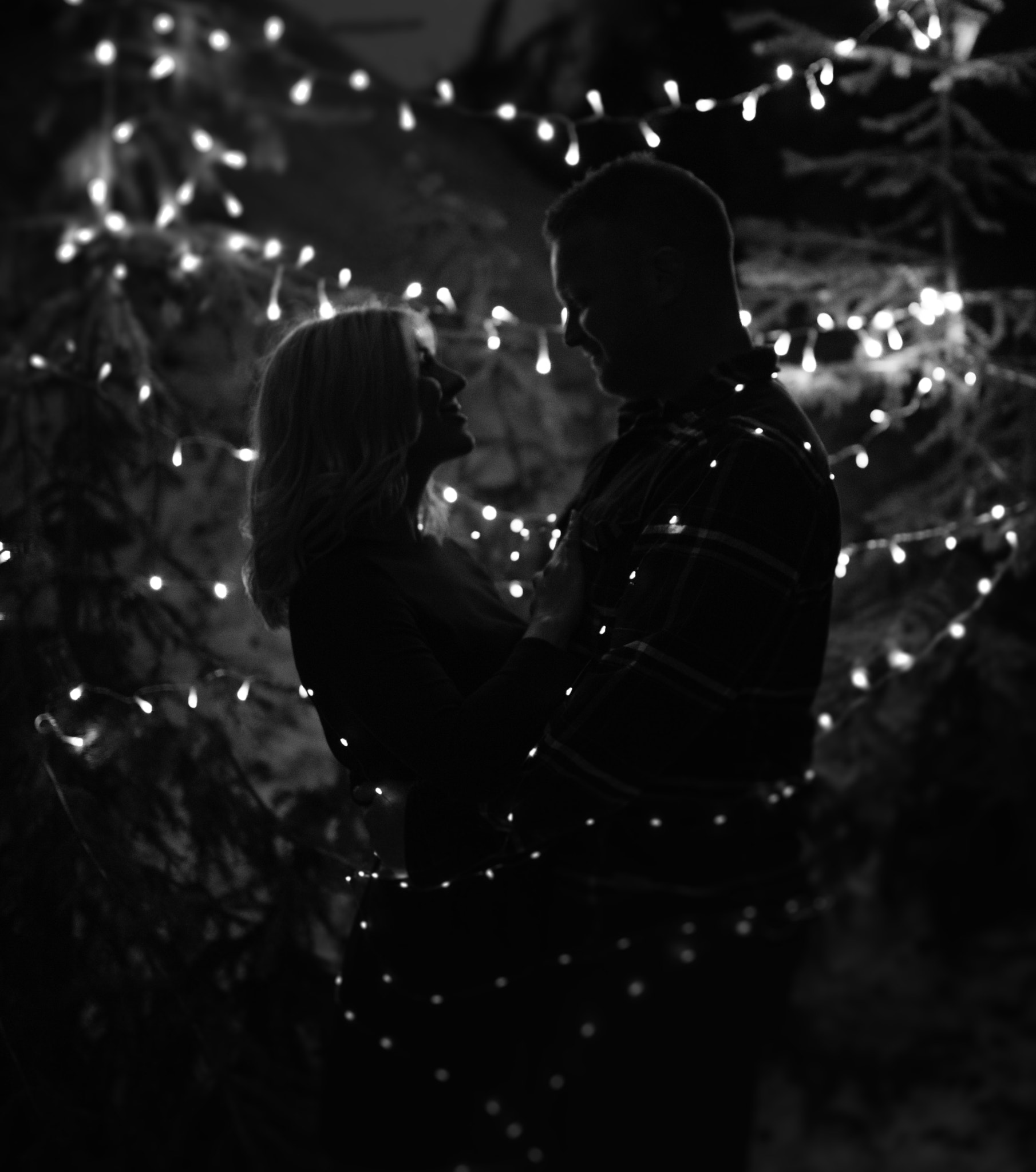 Canon EOS 5DS + Sigma 35mm F1.4 DG HSM Art sample photo. Not quite christmas photography