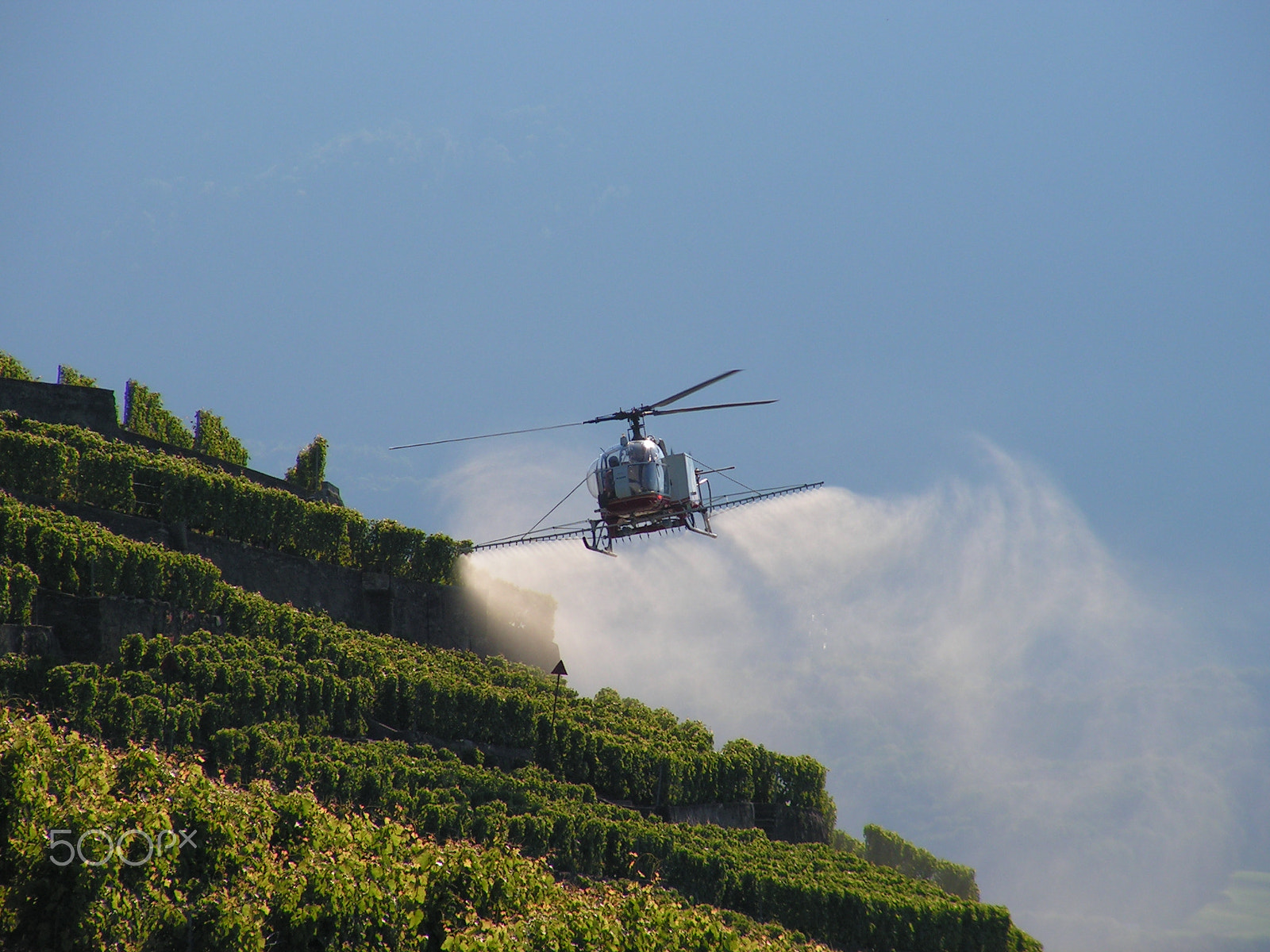 KONICA MINOLTA DiMAGE Z10 sample photo. Helicopter spreading vineyards photography