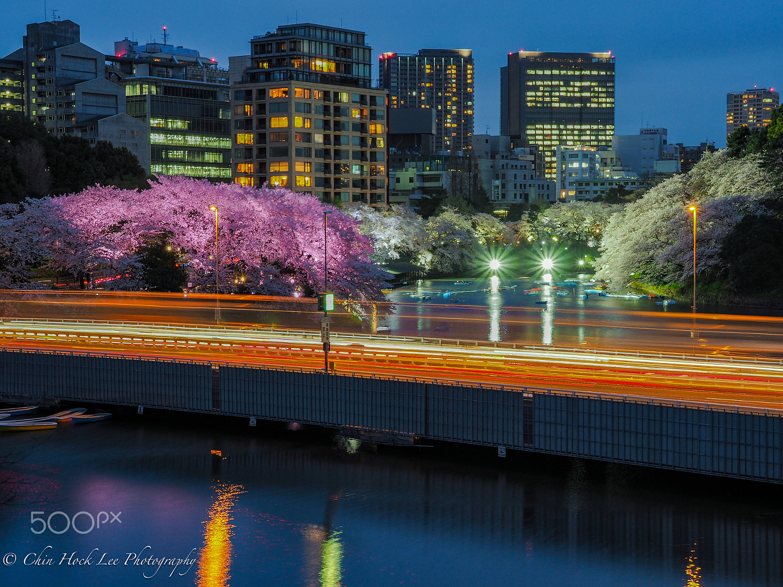Panasonic Lumix G X Vario 12-35mm F2.8 ASPH Power OIS sample photo. Yozakura at chidori-ga-fuchi photography