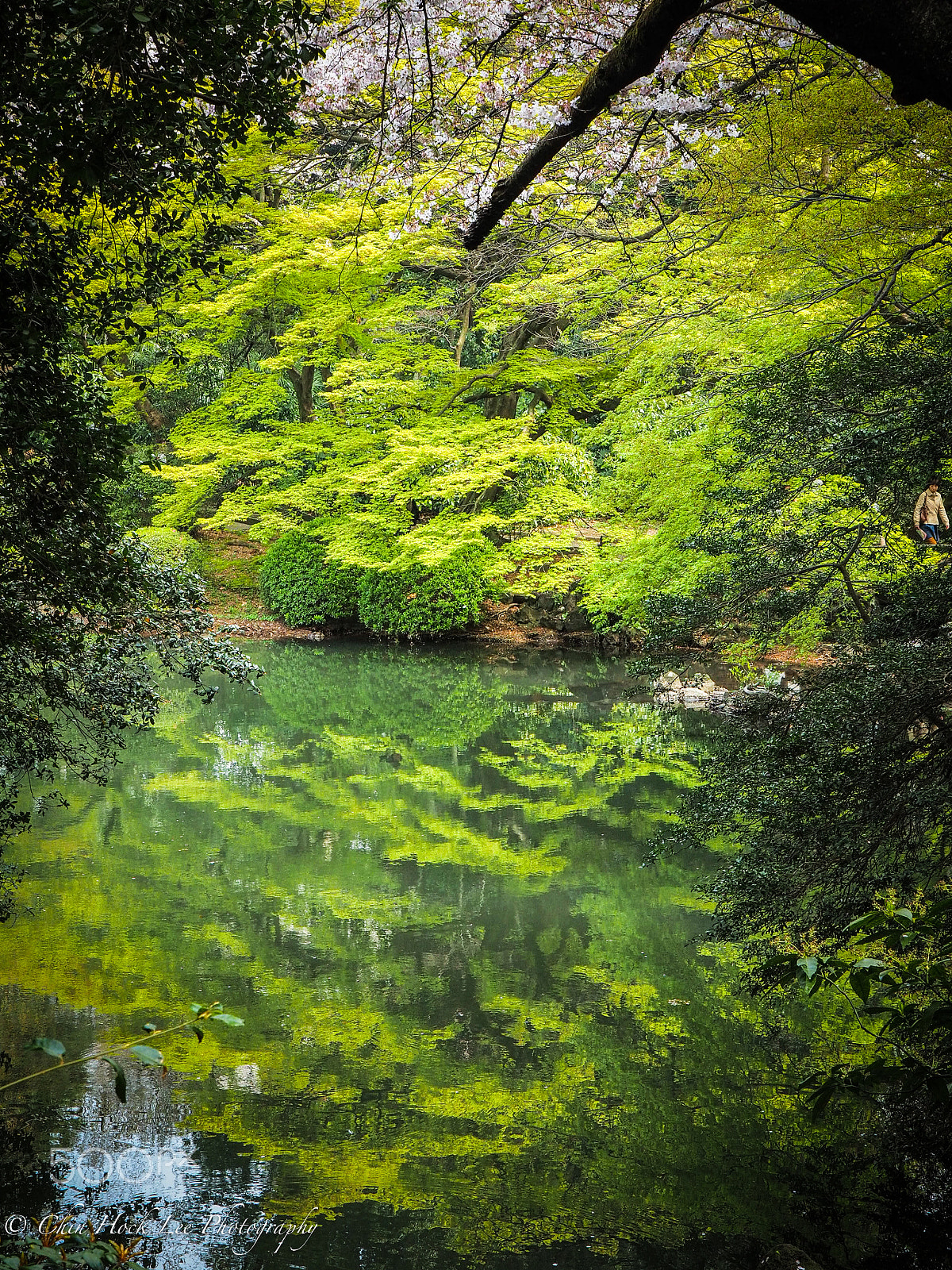 Panasonic Lumix G X Vario 12-35mm F2.8 ASPH Power OIS sample photo. An oasis of tranquility in bustling shinjuku photography