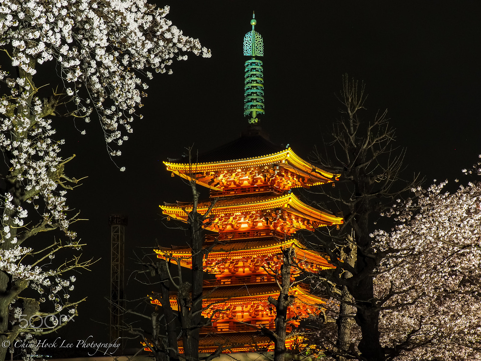 Panasonic Lumix G X Vario 35-100mm F2.8 OIS sample photo. Yozakura at senso-ji temple. photography