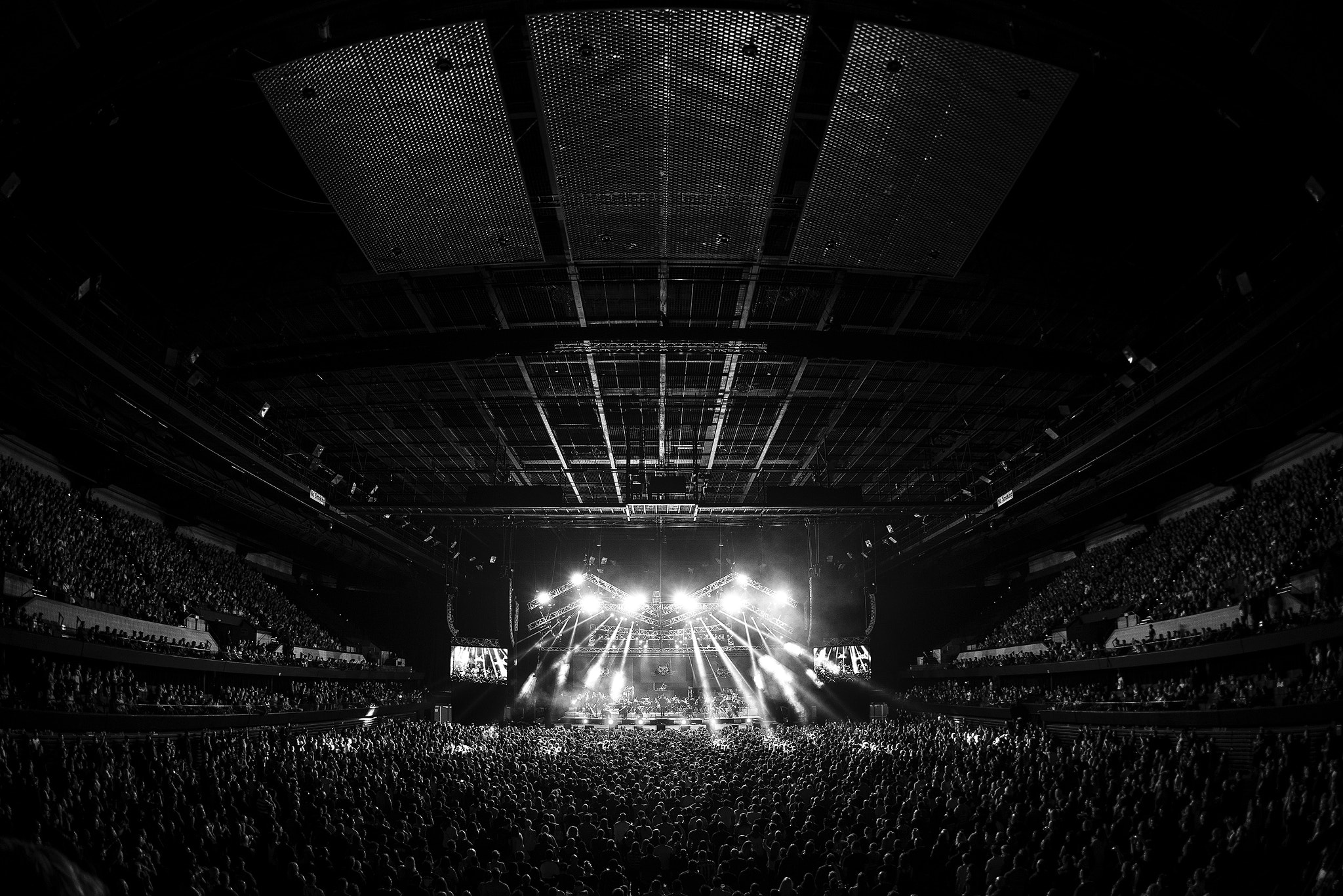 Nikon D800 + Nikon AF Fisheye-Nikkor 16mm F2.8D sample photo. Hilltop hoods adelaide show photography