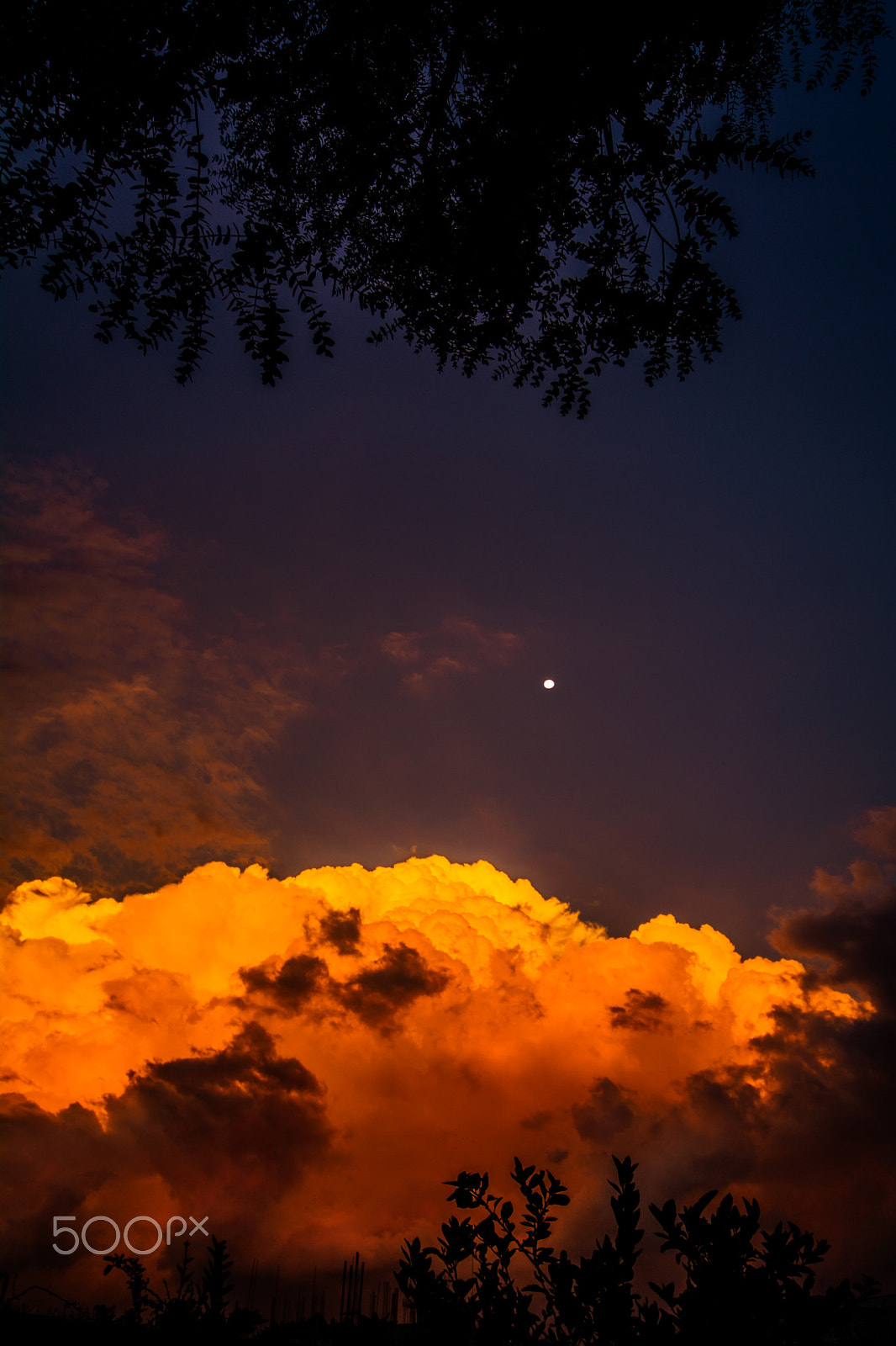 Sigma 12-24mm F4.5-5.6 EX DG Aspherical HSM sample photo. Orange sunset. photography