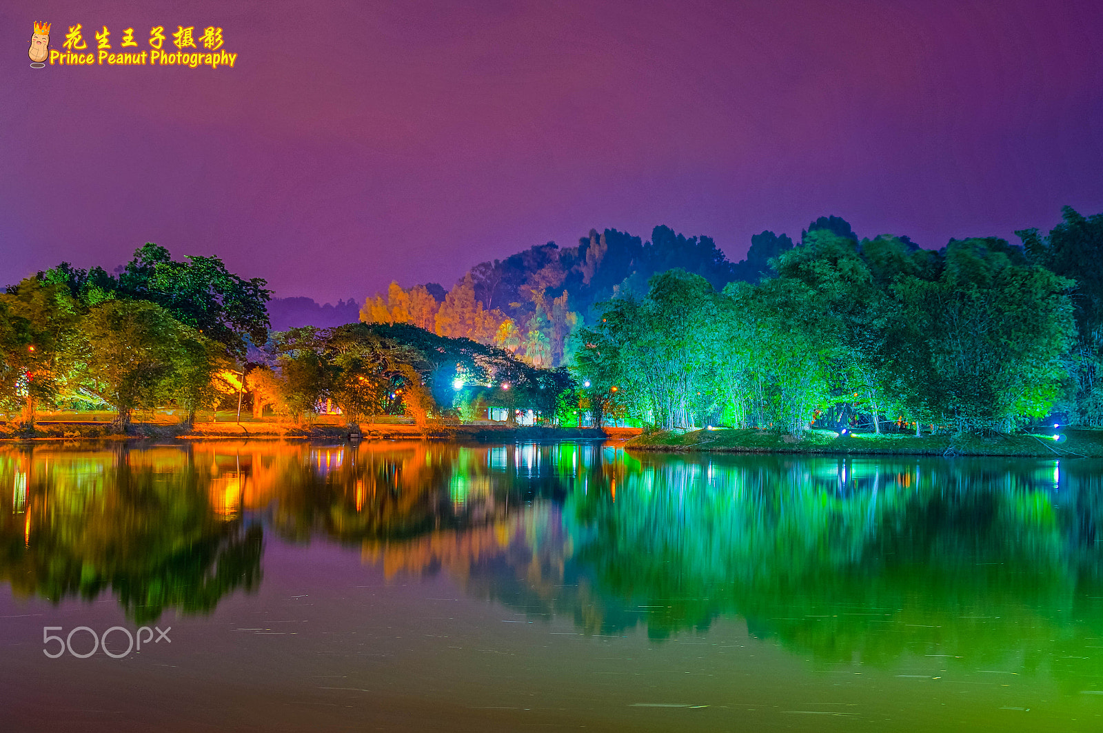 Sony SLT-A37 sample photo. Taiping lake garden night view photography