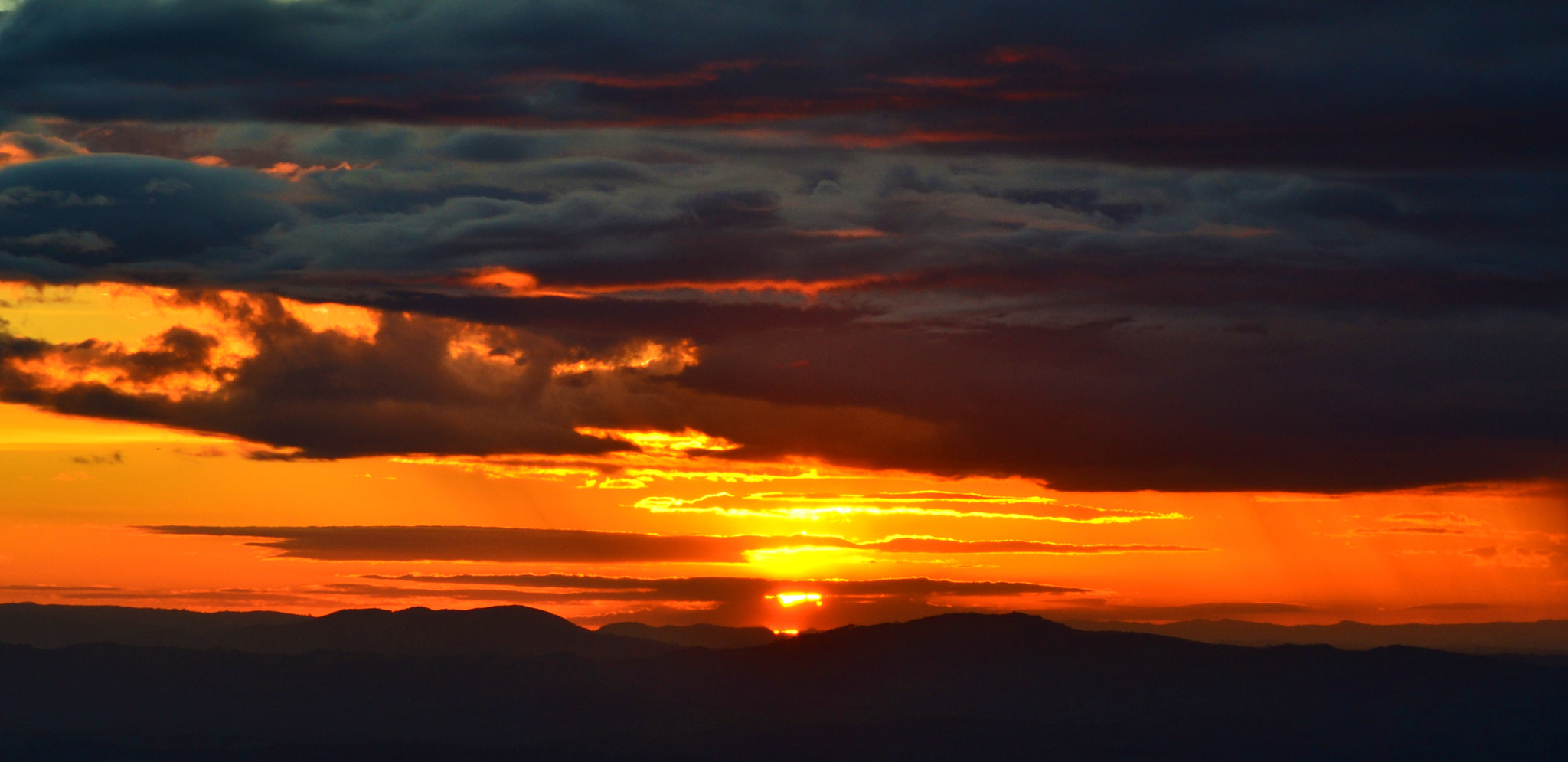 Nikon AF Nikkor 70-300mm F4-5.6G sample photo. Sol do brasil photography