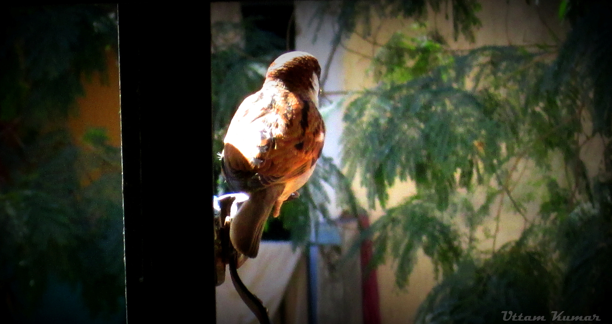 Canon PowerShot A2400 IS sample photo. All alone photography