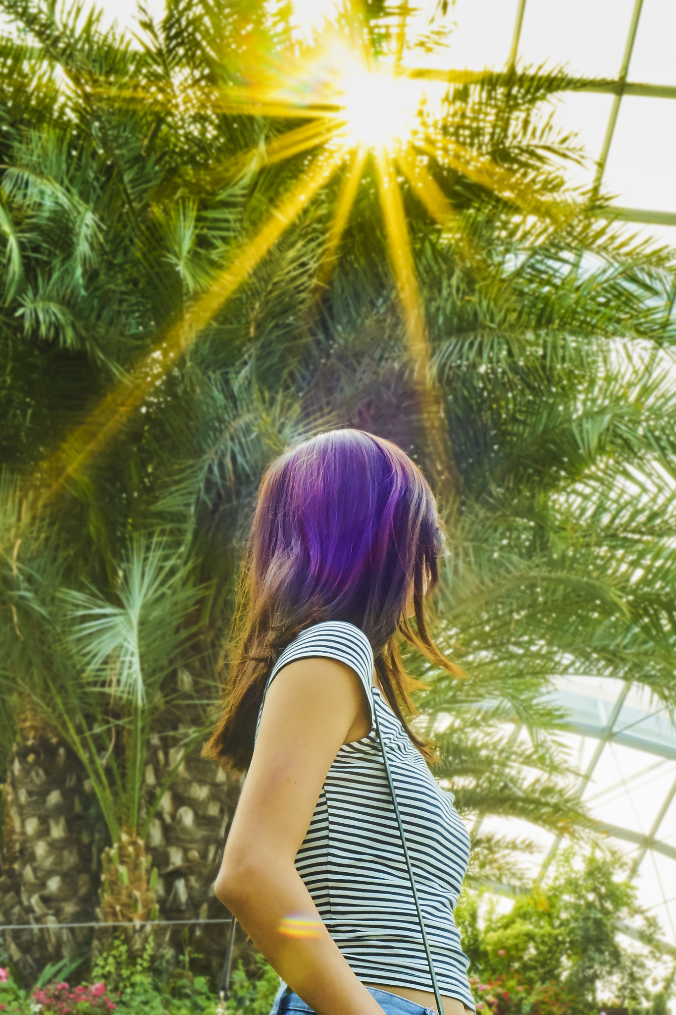 E 50mm F1.8 OSS sample photo. Sun flare photography