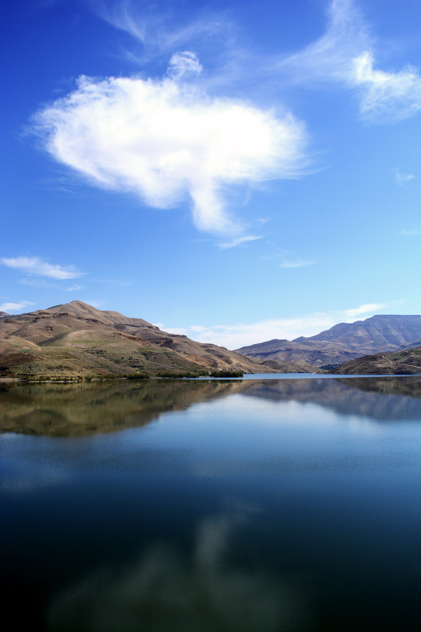 Sigma 18-200mm F3.5-6.3 DC OS HSM sample photo. Oh.cloud photography