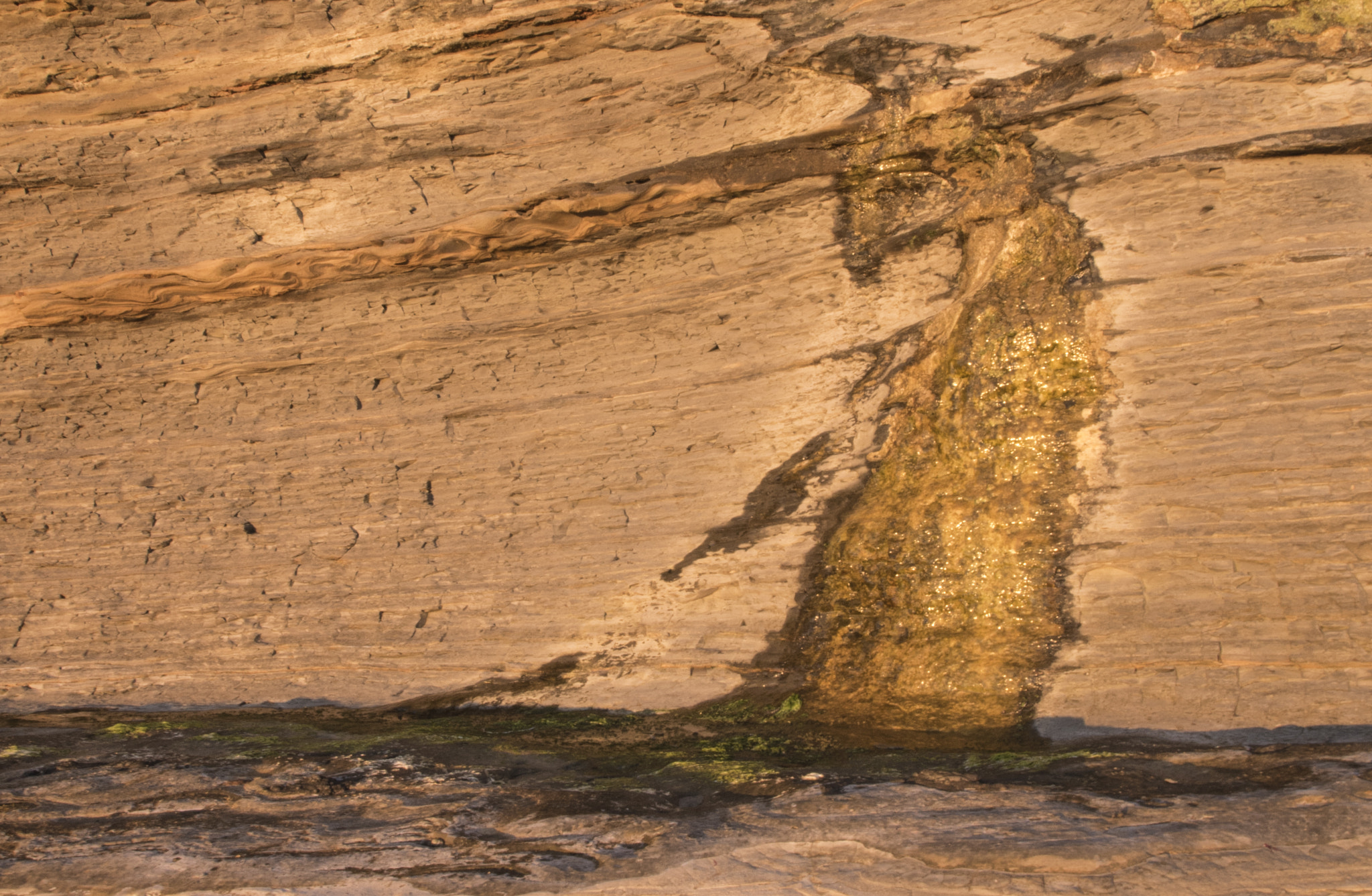 Panasonic Lumix DMC-GH4 + .64x Sigma DC 10-20/4-5.6 EX HSM sample photo. Water seeping through a cliff at sunset photography