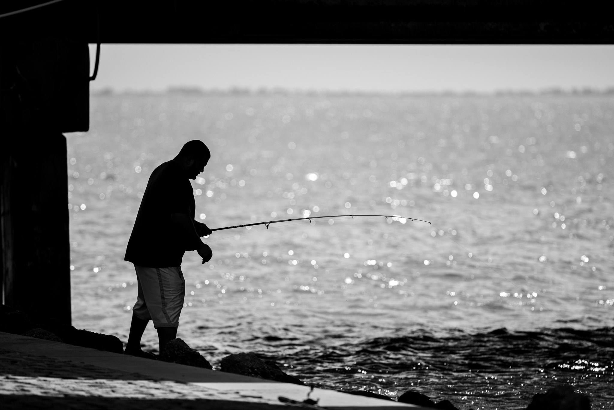 Nikon D610 + AF Nikkor 300mm f/4 IF-ED sample photo. Fishing photography