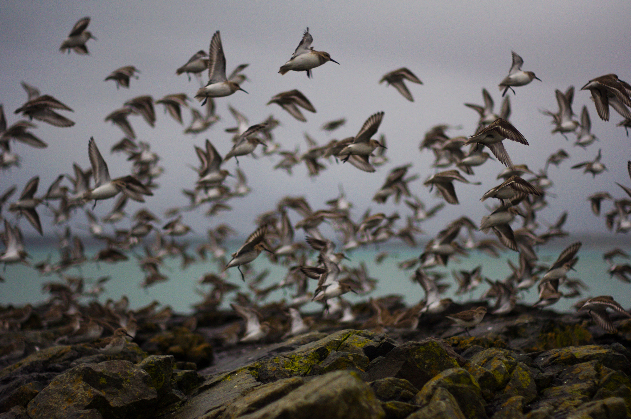 Pentax K-x sample photo. Cornwall photography