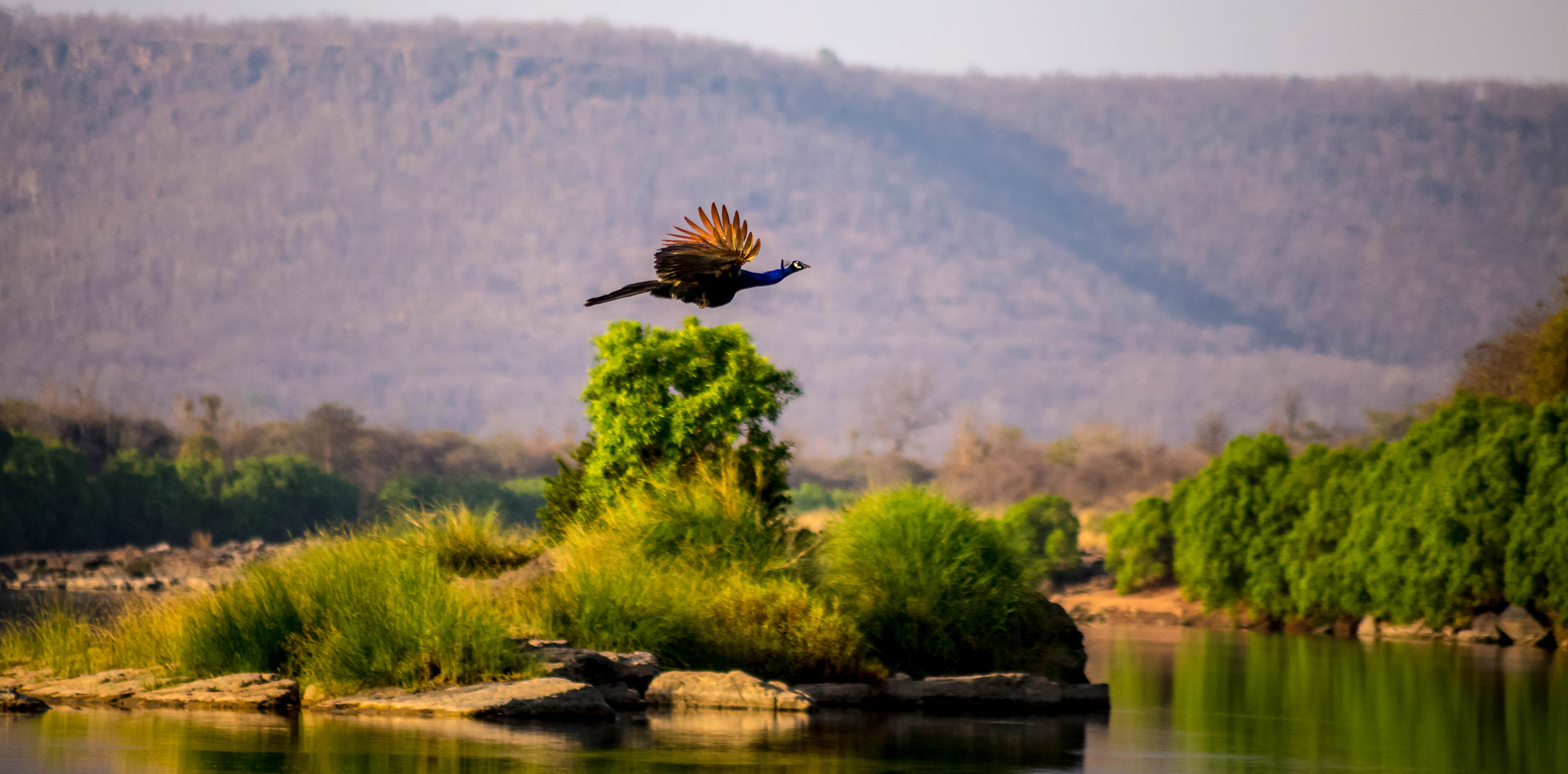 Canon EOS 6D + Canon EF 100-300mm f/5.6 sample photo. Crossing photography