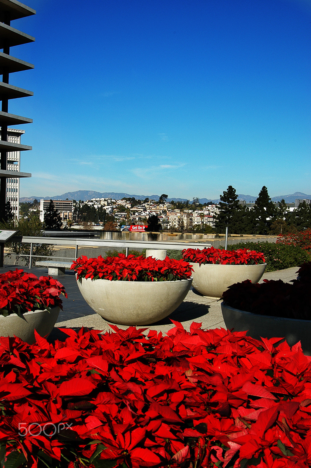 Nikon D100 sample photo. To be categorized photography