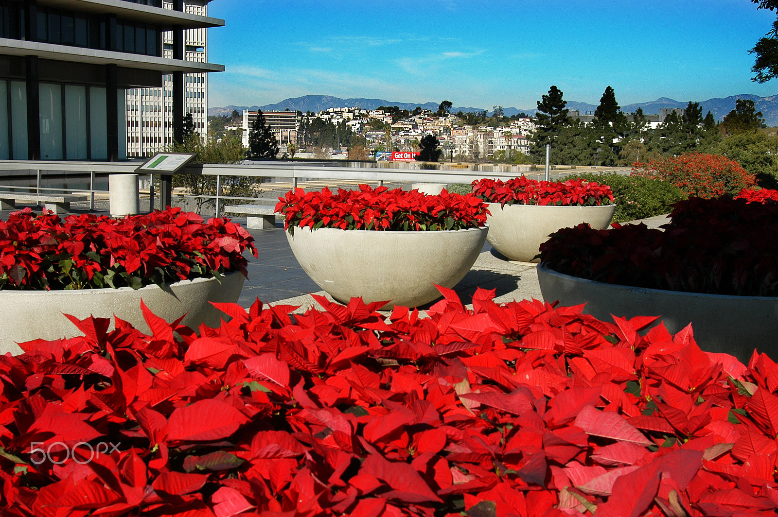 Nikon D100 sample photo. To be categorized photography