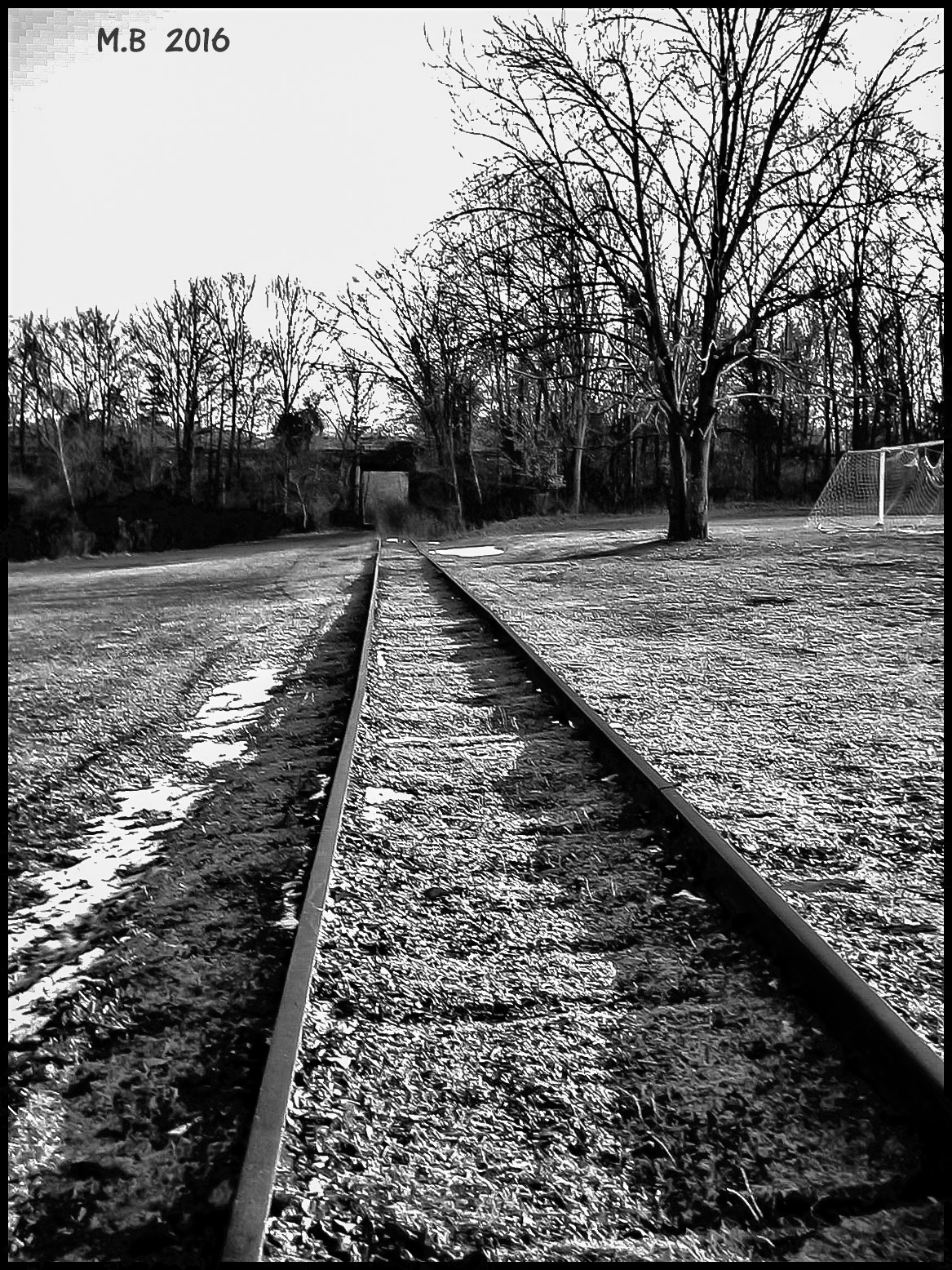 Canon POWERSHOT A300 sample photo. Train tracks at baldwin's pond. photography