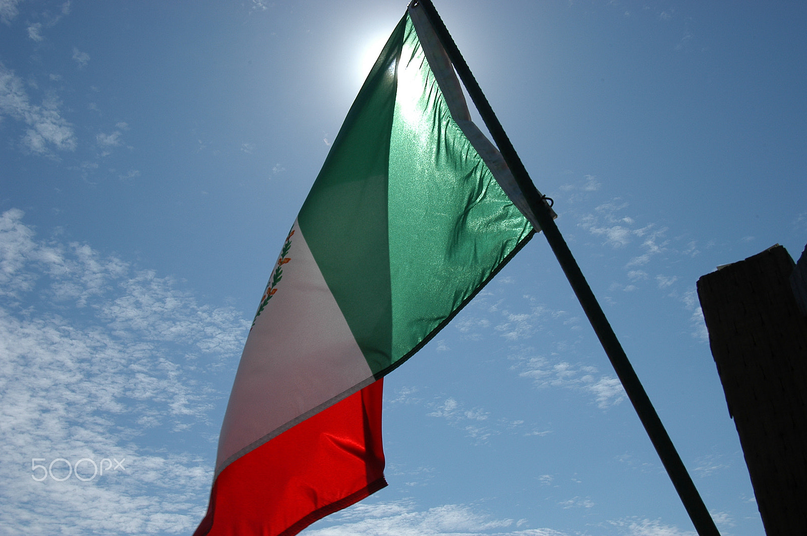 Nikon D100 sample photo. Mexican flag photography