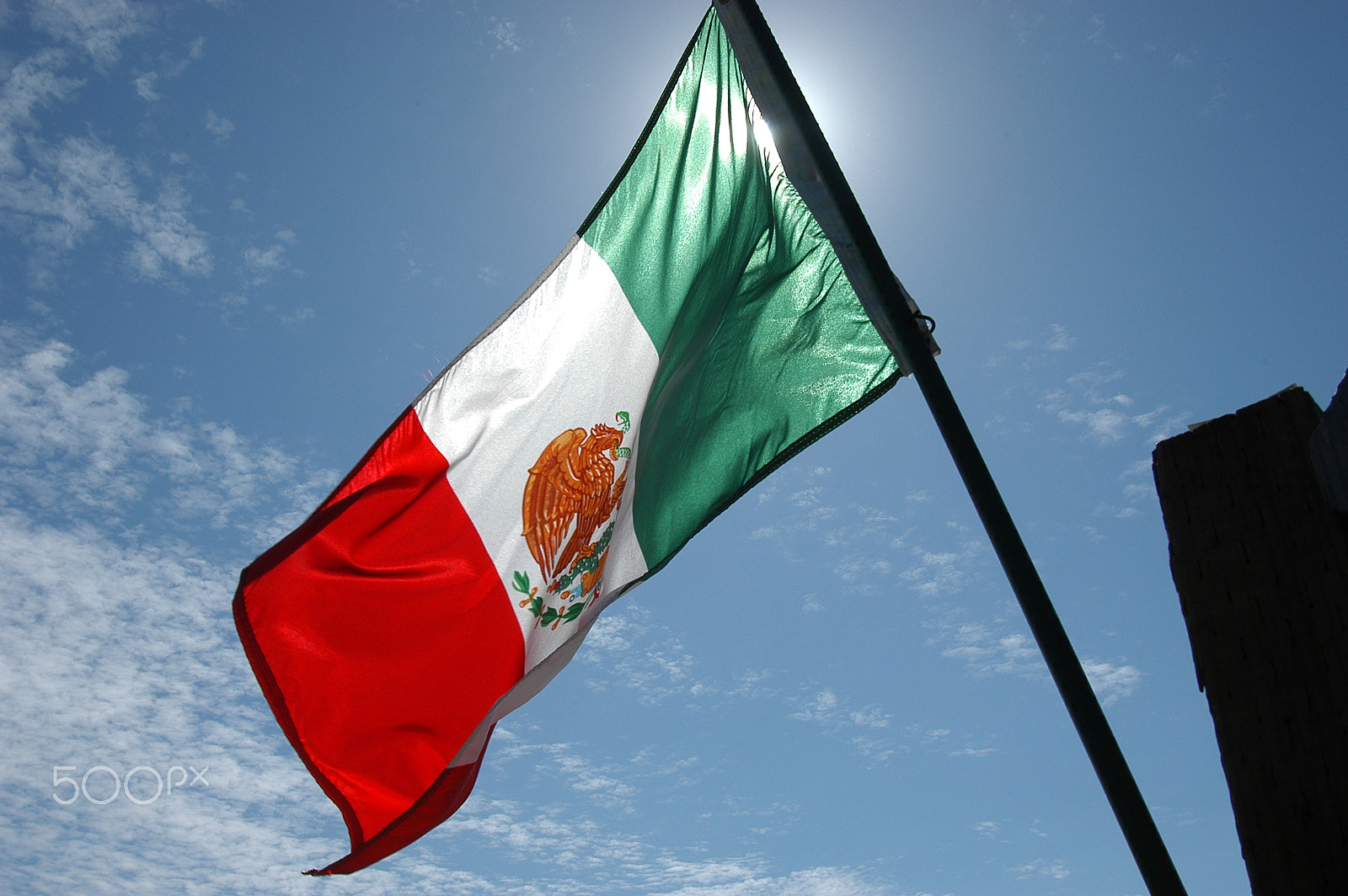 Nikon D100 sample photo. Mexican flag photography