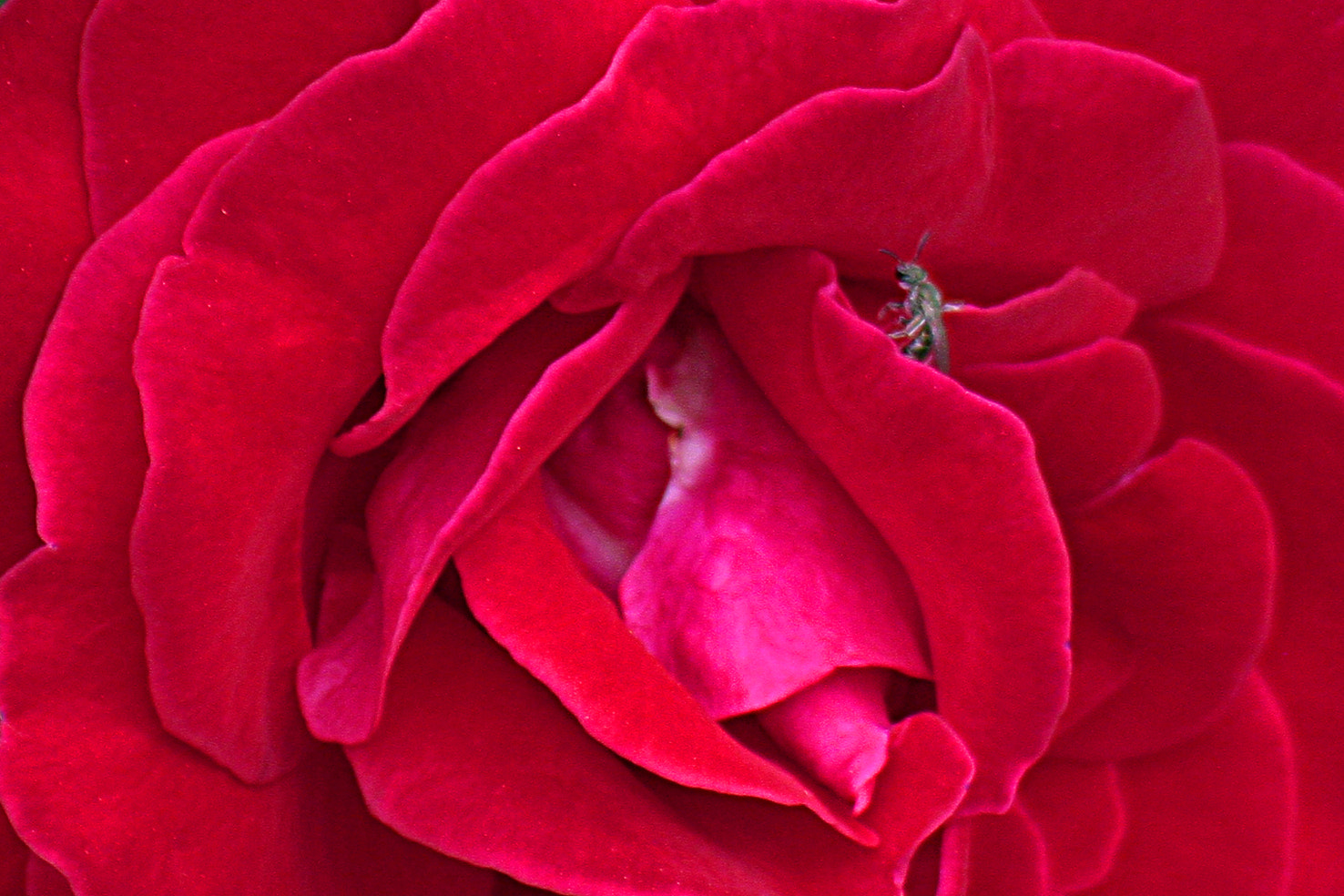 Canon EF 75-300mm f/4-5.6 USM sample photo. Laberinto photography