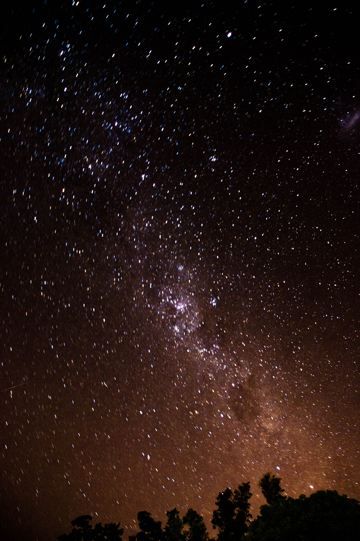 Nikon D40 sample photo. *** photography