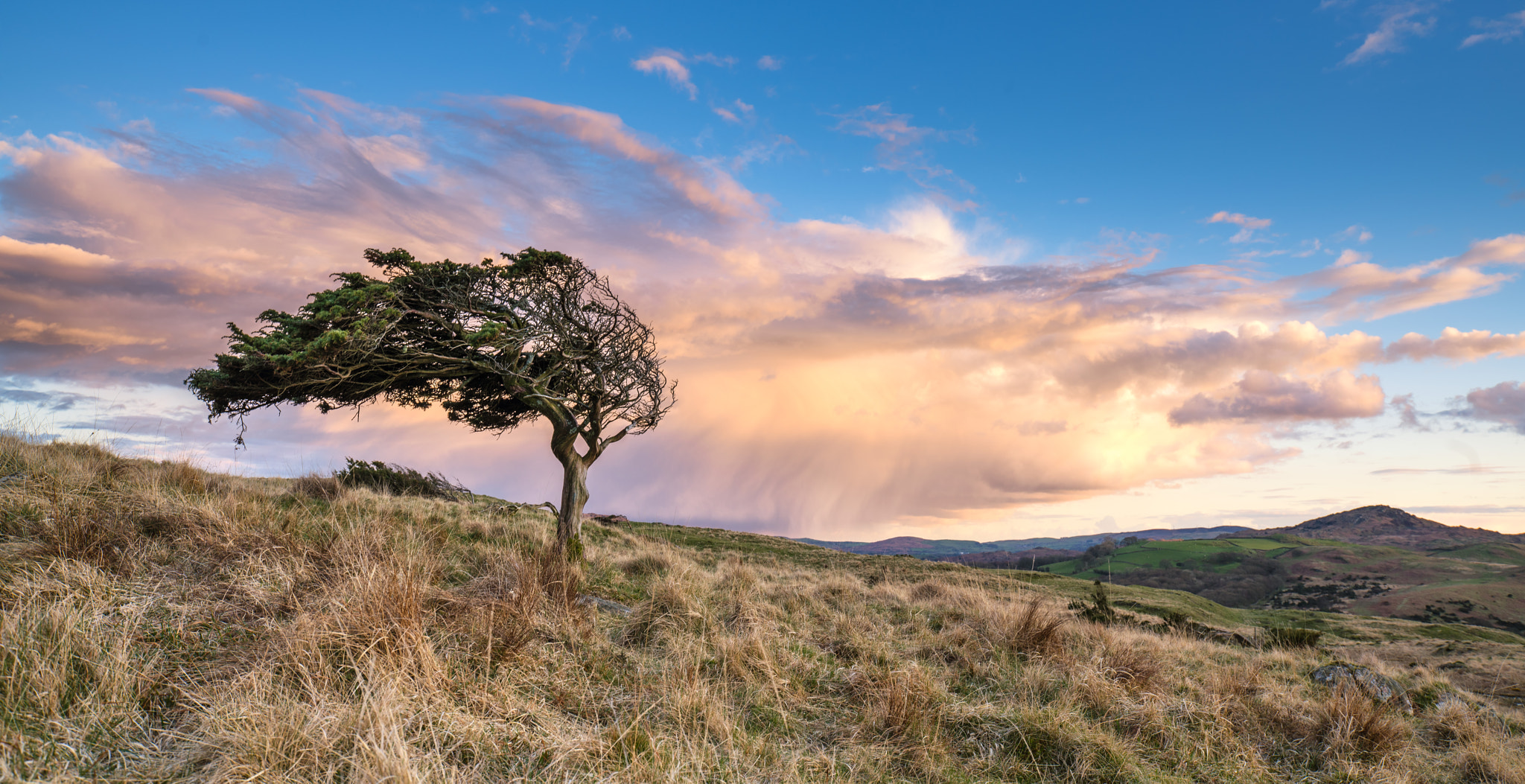 Tamron 18-270mm F3.5-6.3 Di II PZD sample photo. Torver tree sunset photography