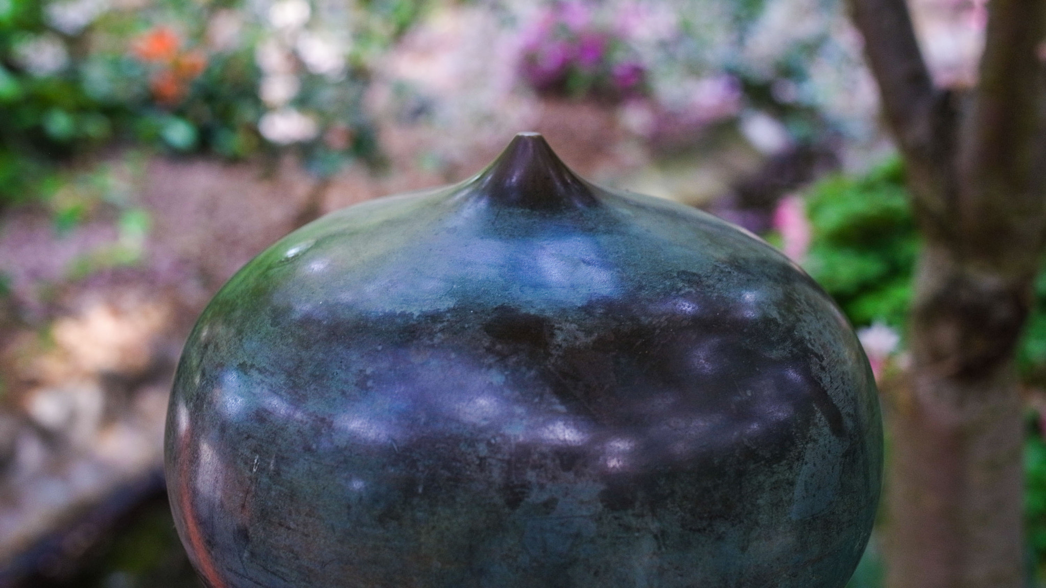 Ricoh GXR A12 + GR Lens A12 50mm F2.5 Macro sample photo. Garden scene / california photography