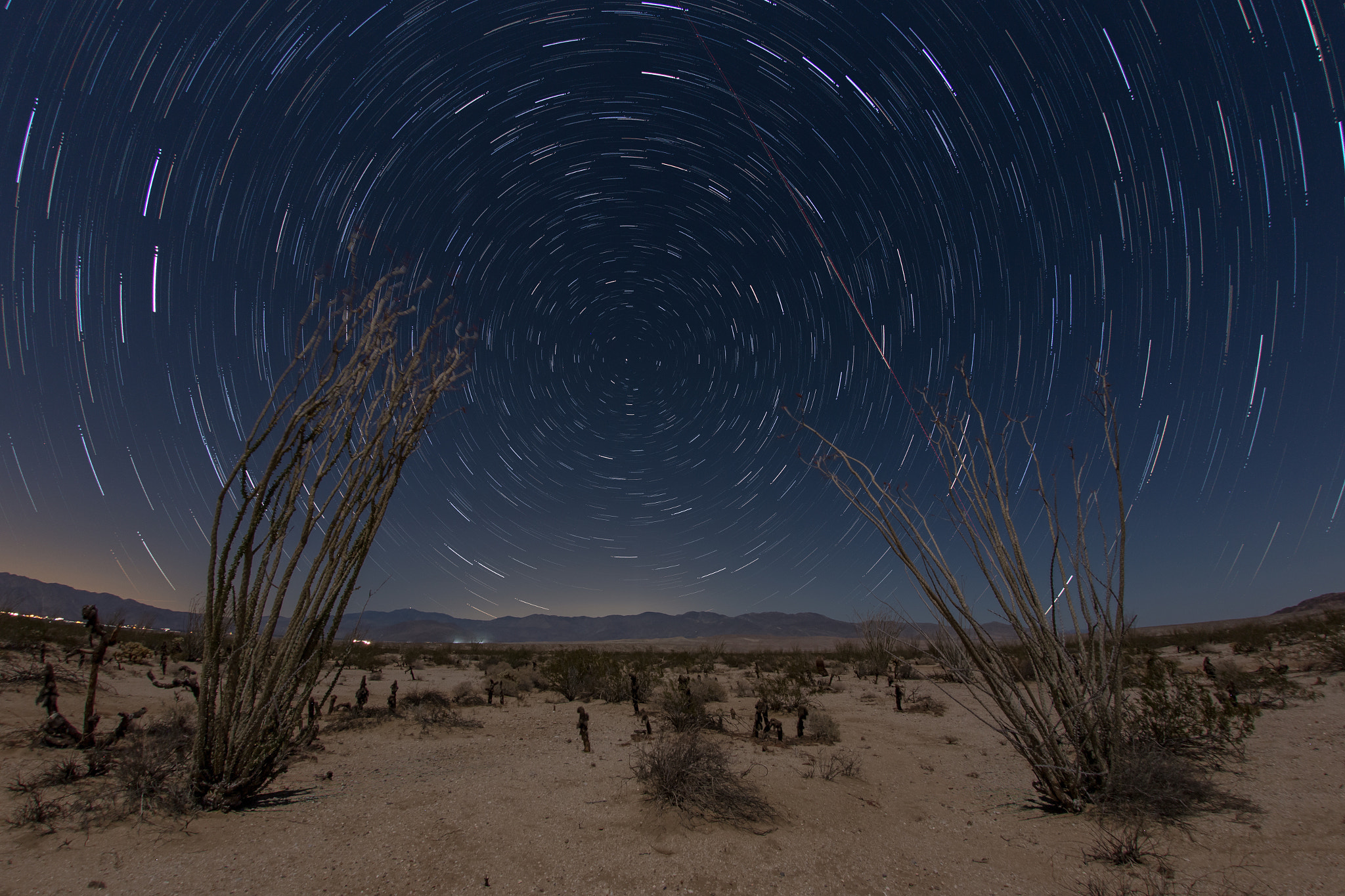 Sigma 15mm f/2.8 EX Fisheye sample photo. Star trails behind a pair of ocotillo photography