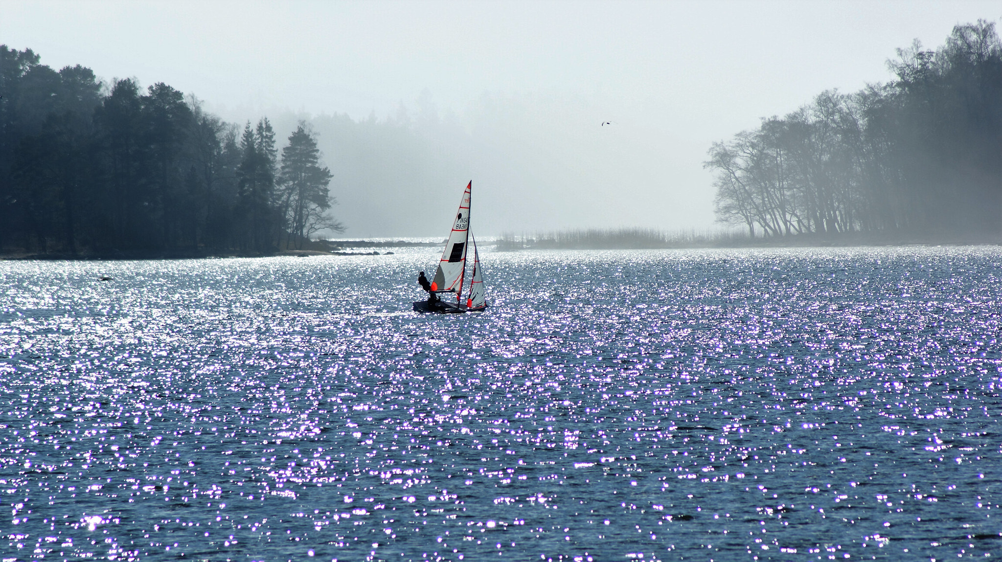 Sony Alpha DSLR-A350 + Tamron Lens (255) sample photo. Sailing photography