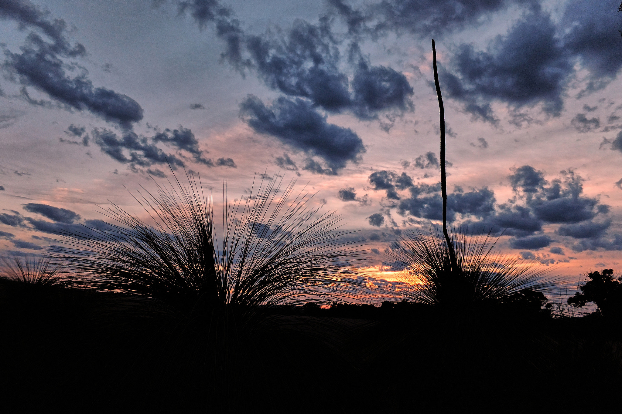 Fujifilm FinePix F550EXR sample photo. Sunrise silhouette photography