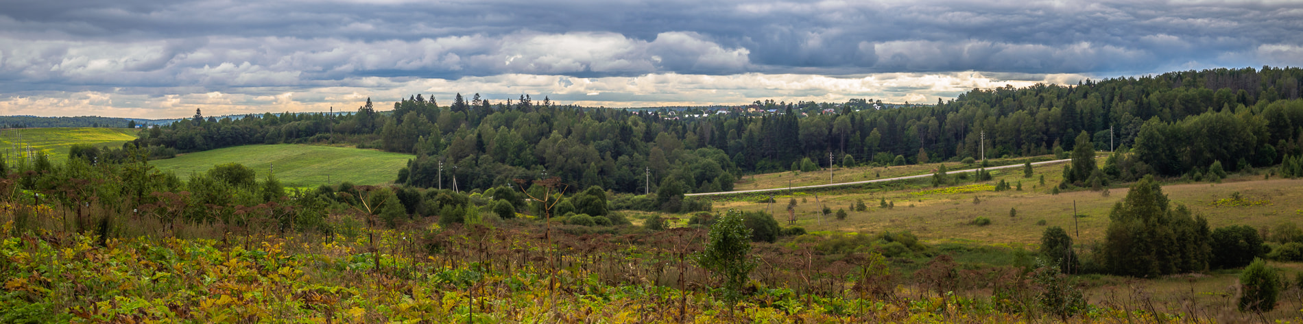 Olympus OM-D E-M10 + OLYMPUS M.12-50mm F3.5-6.3 sample photo. Moscow region photography