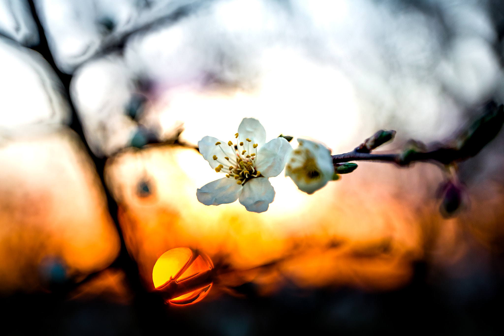 Canon EF 16-35mm F2.8L II USM sample photo. Spring is coming! photography