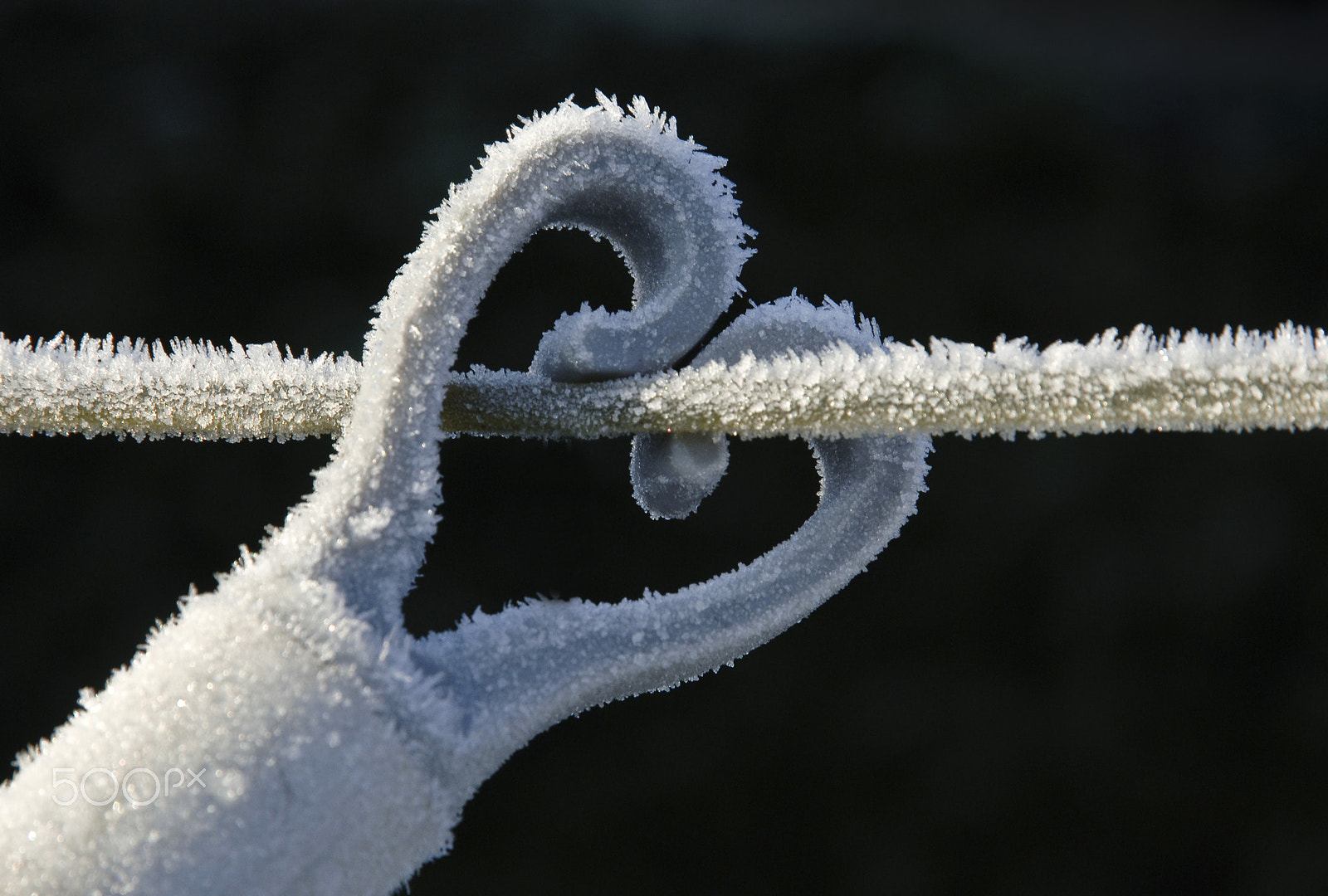 Nikon D2X sample photo. Cold heart photography