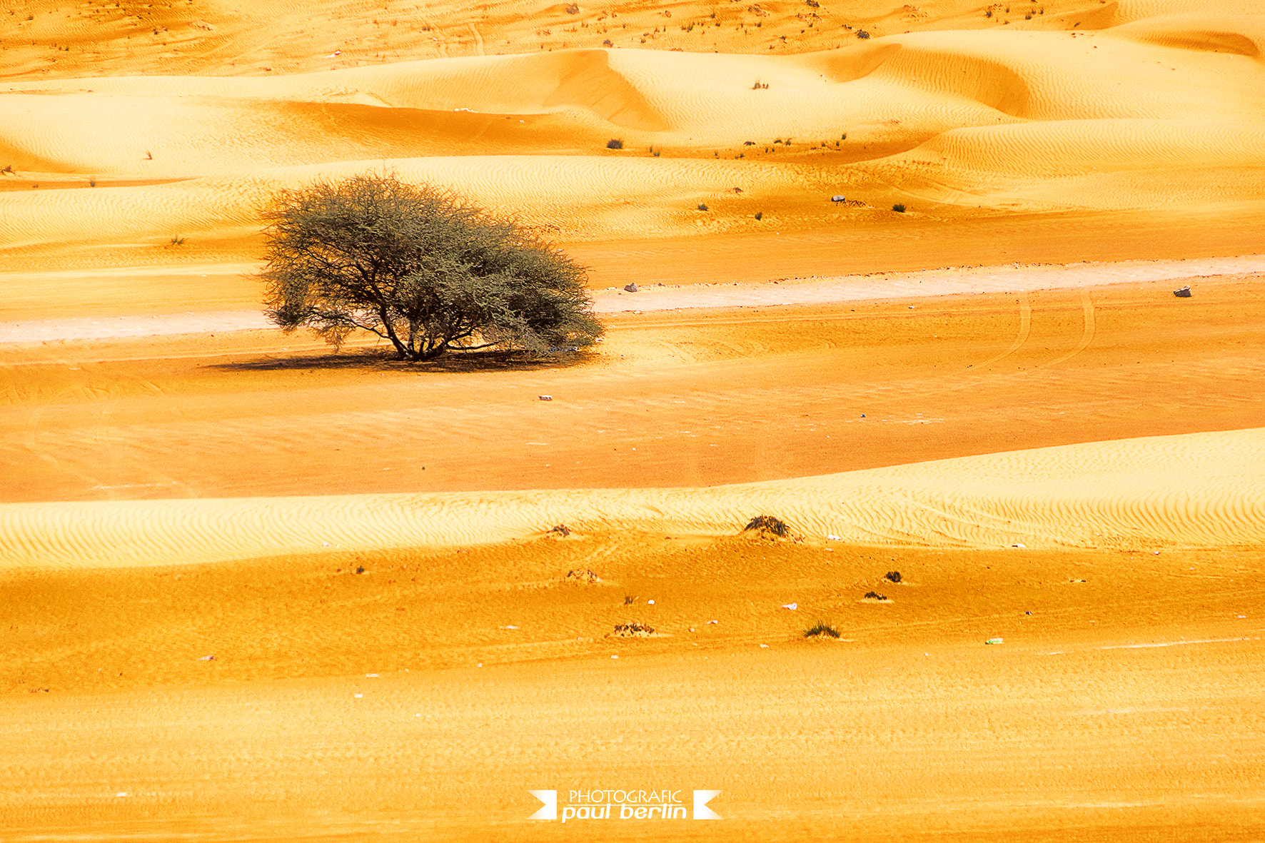 Sony E 18-200mm F3.5-6.3 OSS sample photo. Desert in oman photography
