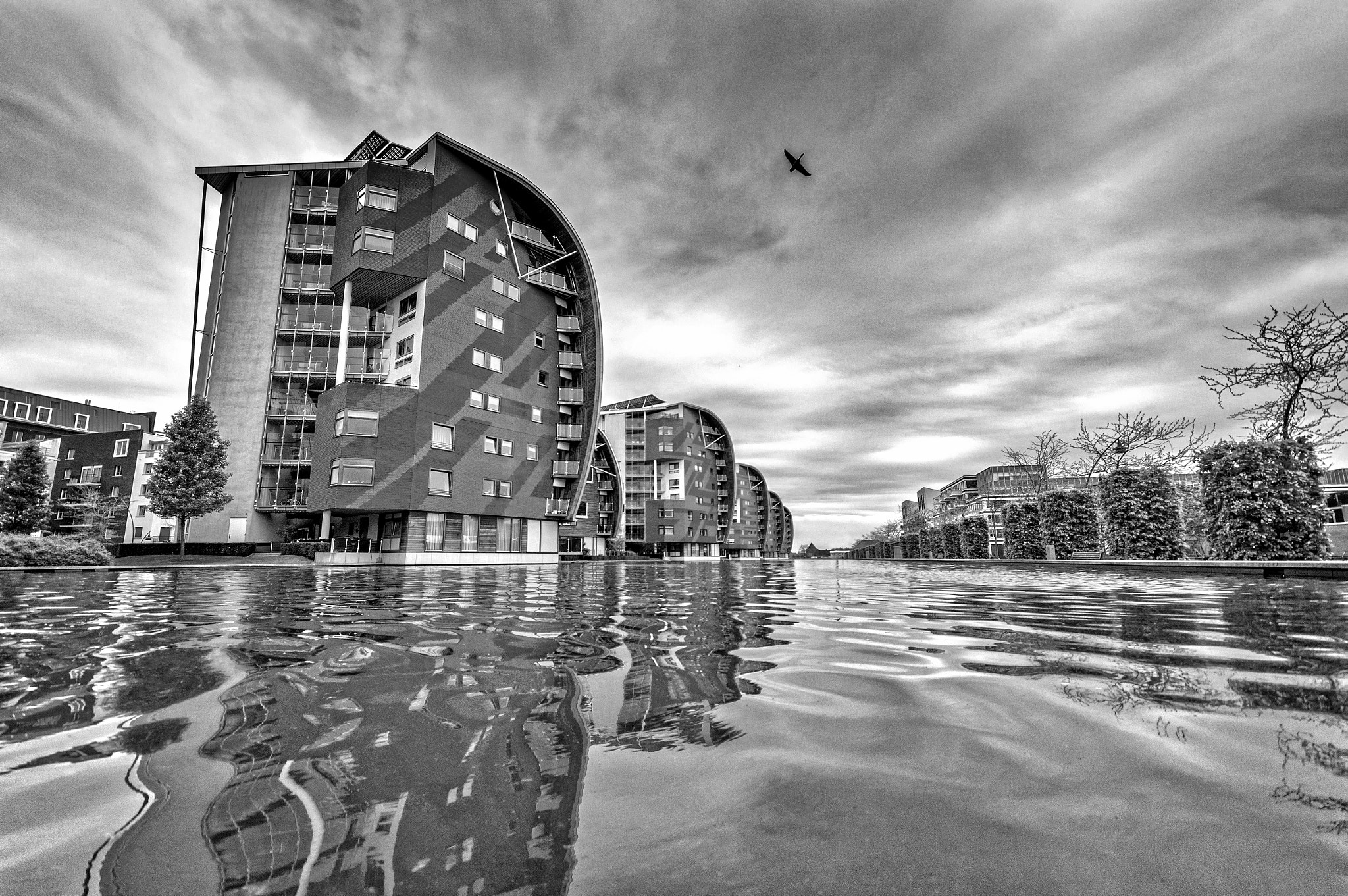 Sony Alpha DSLR-A580 sample photo. Den bosch living photography