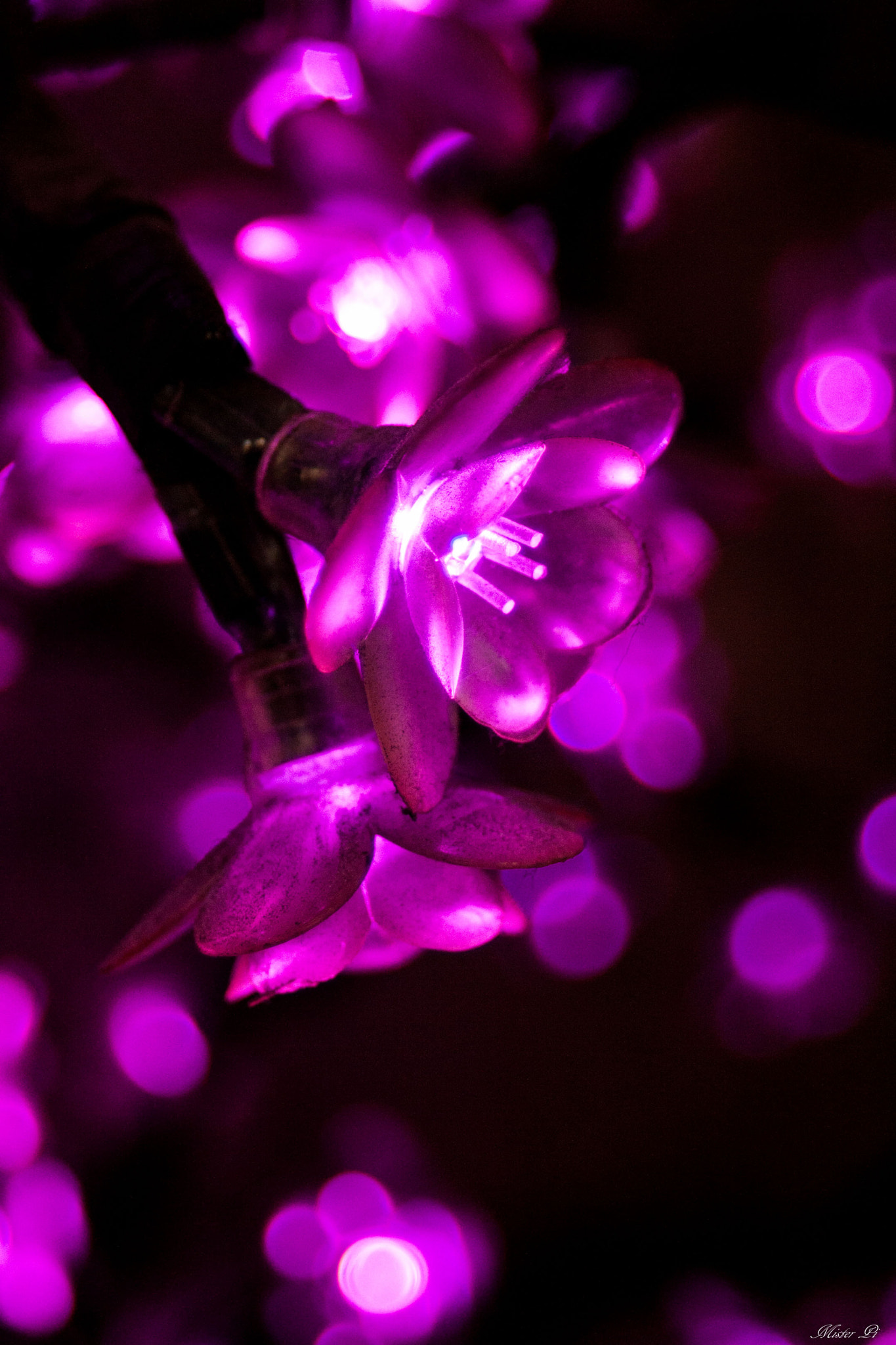 Canon EF 28-80mm f/3.5-5.6 sample photo
