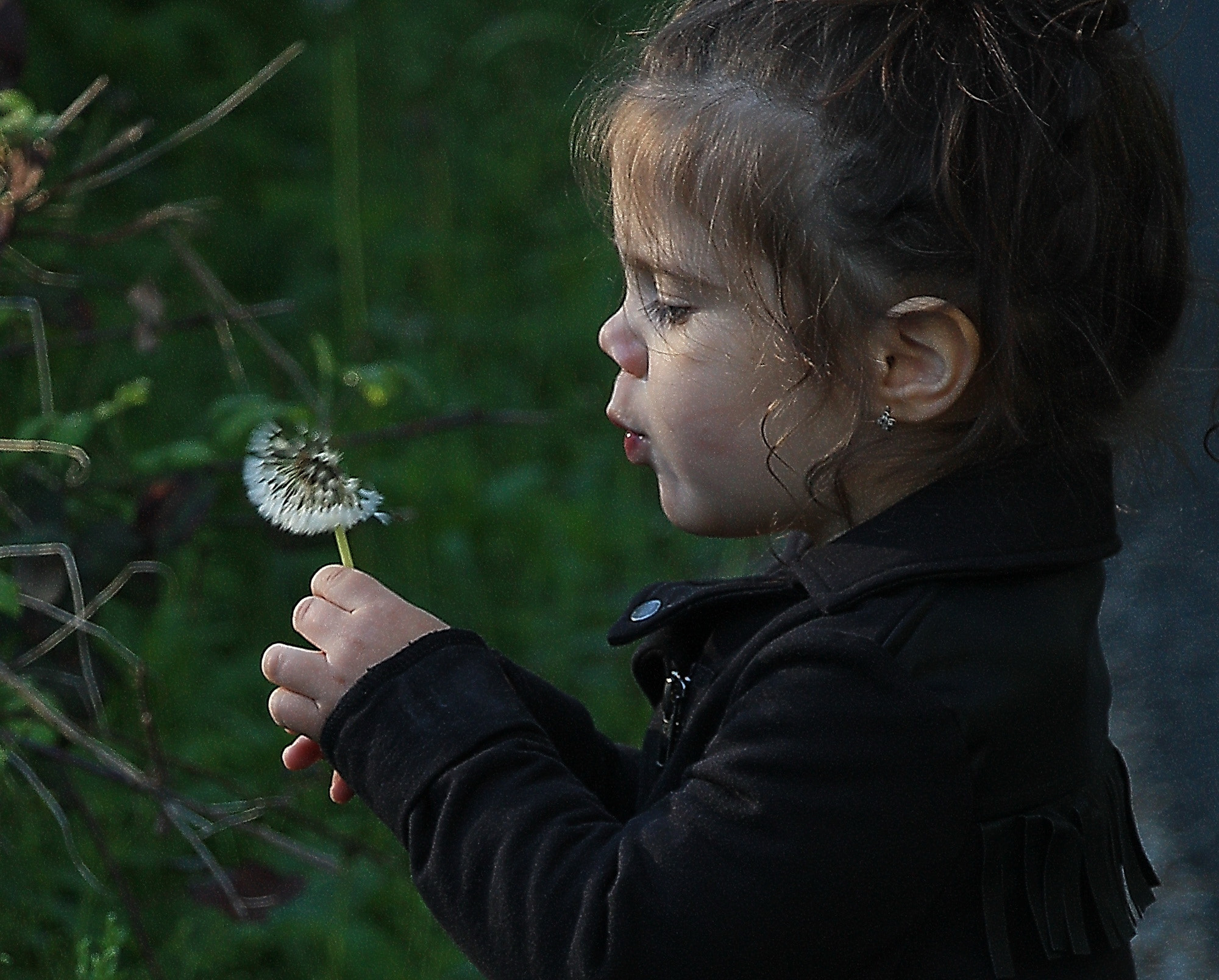 Canon EF-S 18-135mm F3.5-5.6 IS STM sample photo. Simona and dandelion photography
