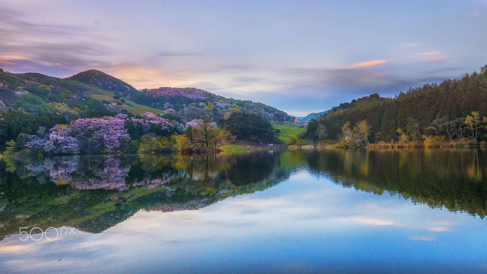 Panasonic Lumix G Vario 7-14mm F4 ASPH sample photo. Reflection of spring photography