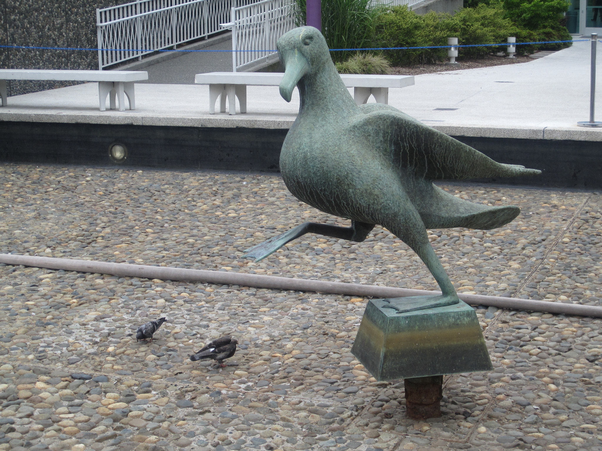 Canon PowerShot SD780 IS (Digital IXUS 100 IS / IXY Digital 210 IS) sample photo. Jonathan the seagull photography