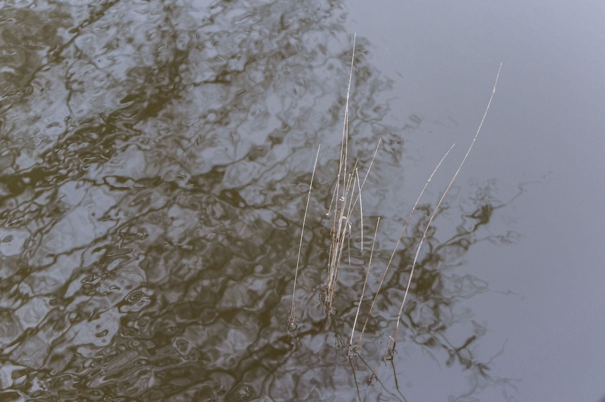 Sony Alpha DSLR-A580 sample photo. The geometry of the water. photography