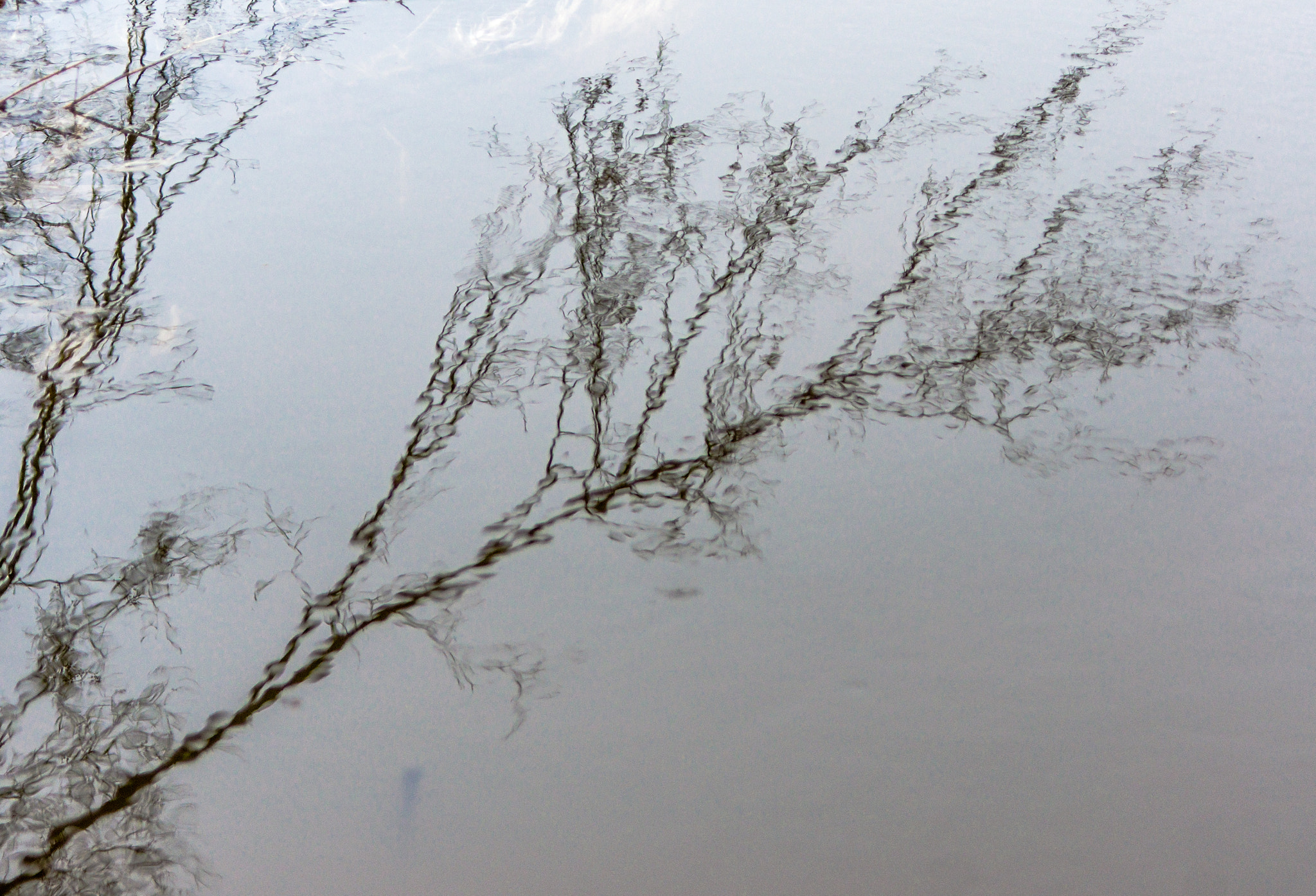 Sony Alpha DSLR-A580 sample photo. The geometry of the water. photography