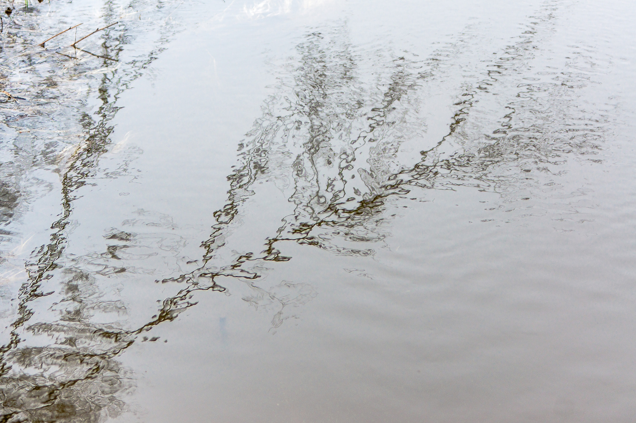 Sony Alpha DSLR-A580 sample photo. The geometry of the water. photography