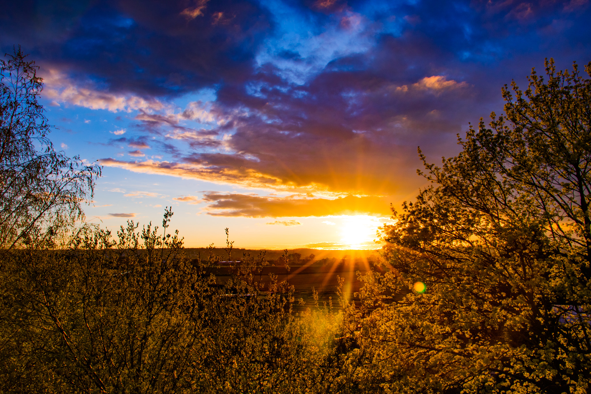 Canon EF-S 18-135mm F3.5-5.6 IS STM sample photo. View from the fire escape photography