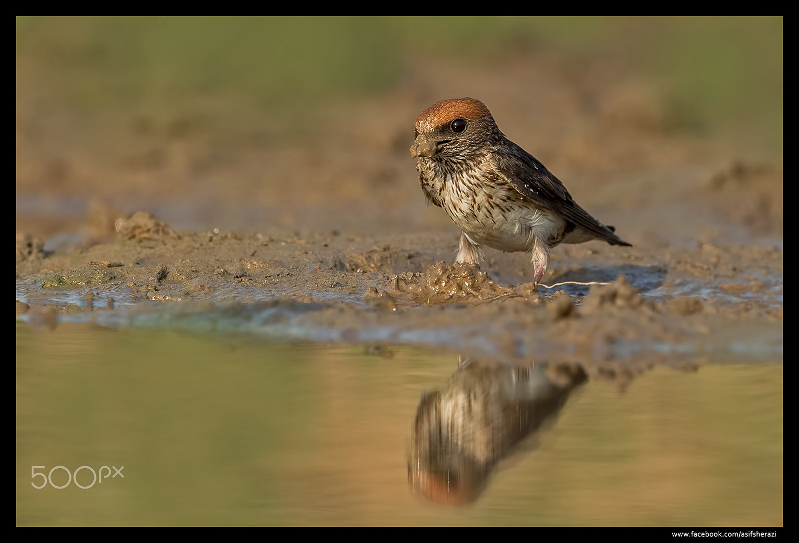 Nikon D5 sample photo. Beauty of the nature photography