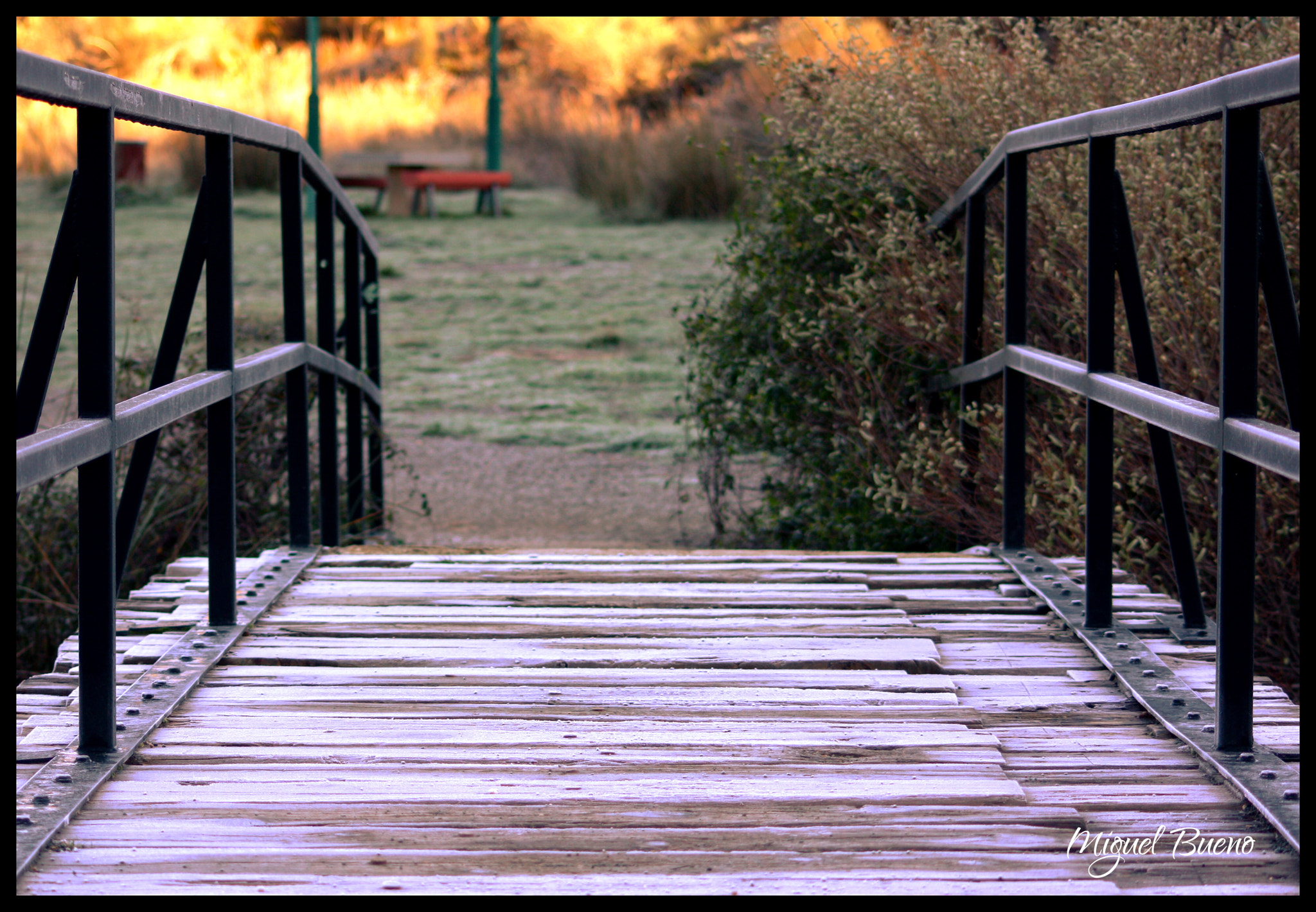Canon EOS 450D (EOS Rebel XSi / EOS Kiss X2) + Canon 70-300mm sample photo. Puente photography