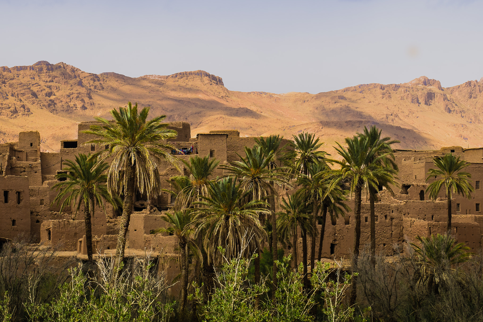 Fujifilm X-M1 + Fujifilm XC 50-230mm F4.5-6.7 OIS sample photo. Palm grove near tanghir, morocco photography