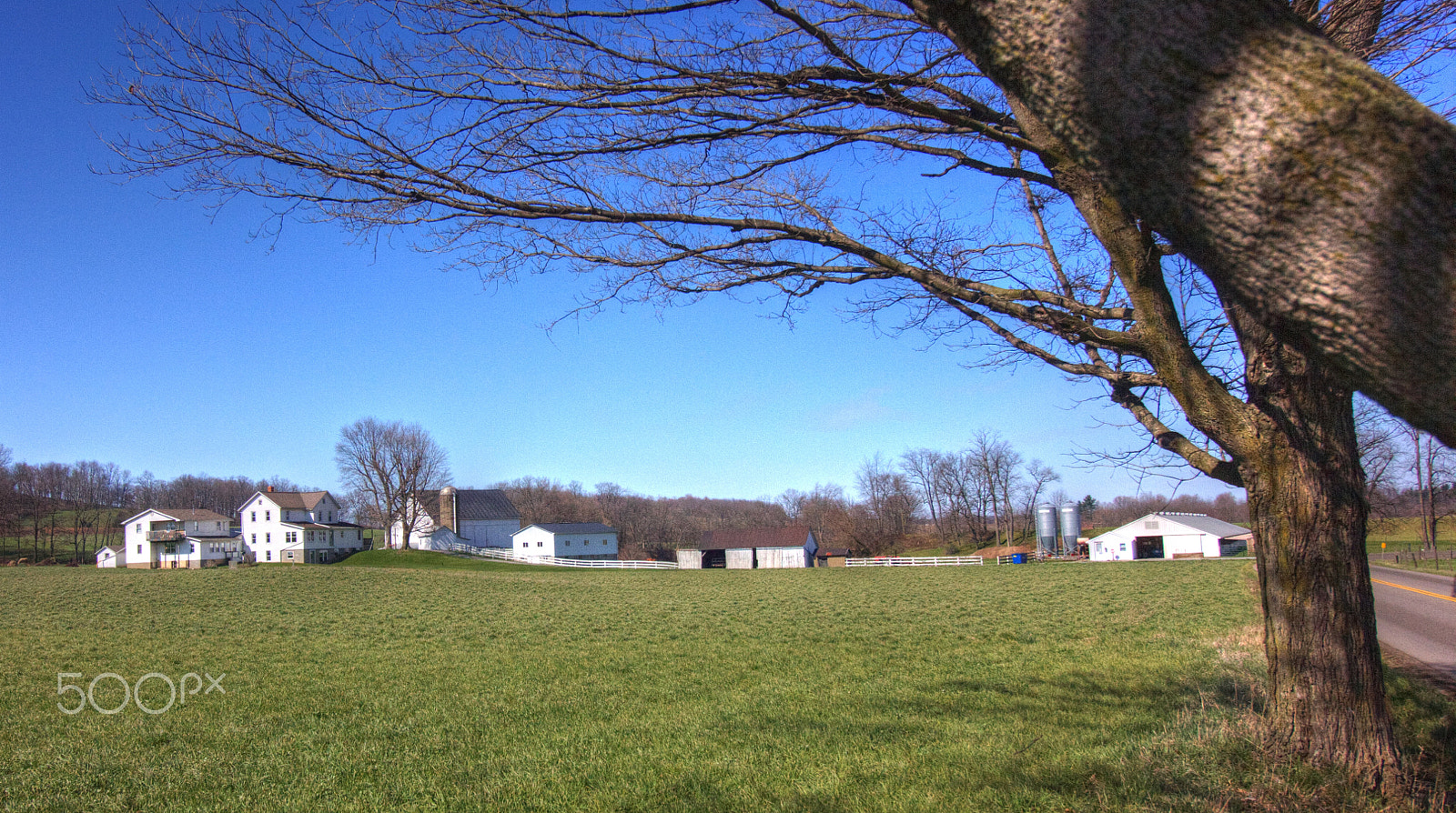 Canon EF-S 10-18mm F4.5–5.6 IS STM sample photo. Amish farm photography
