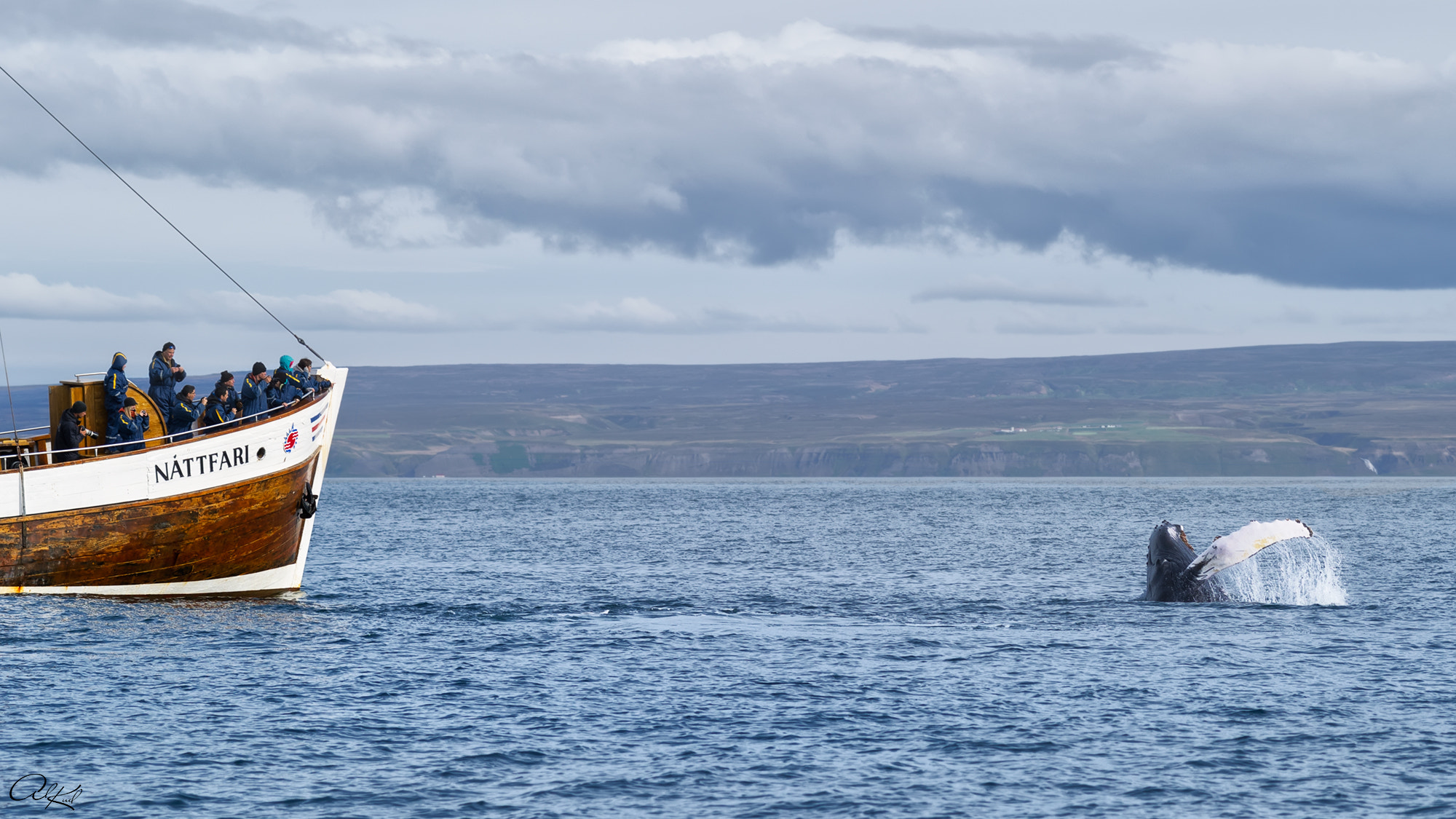 smc PENTAX-FA 645 150mm F2.8 [IF] sample photo. Whale watching photography